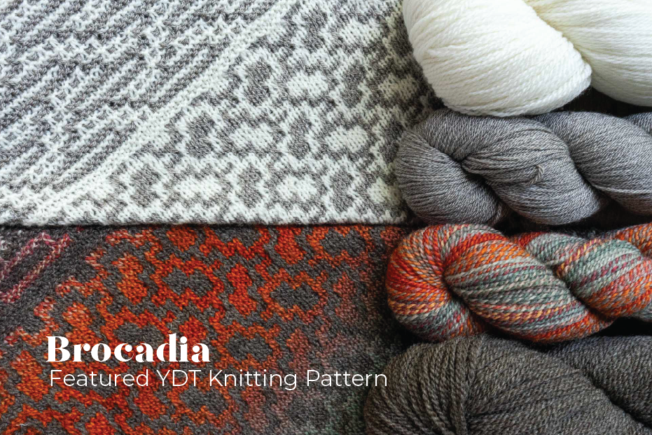 Discover Brocadia: Your Exclusive Yarn Discovery Tour Shawl! Discover Brocadia: Your Exclusive Yarn Discovery Tour Shawl!