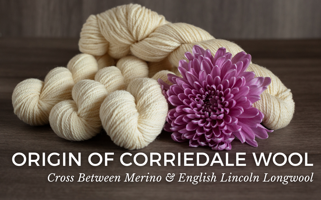 Origin of Corriedale Wool