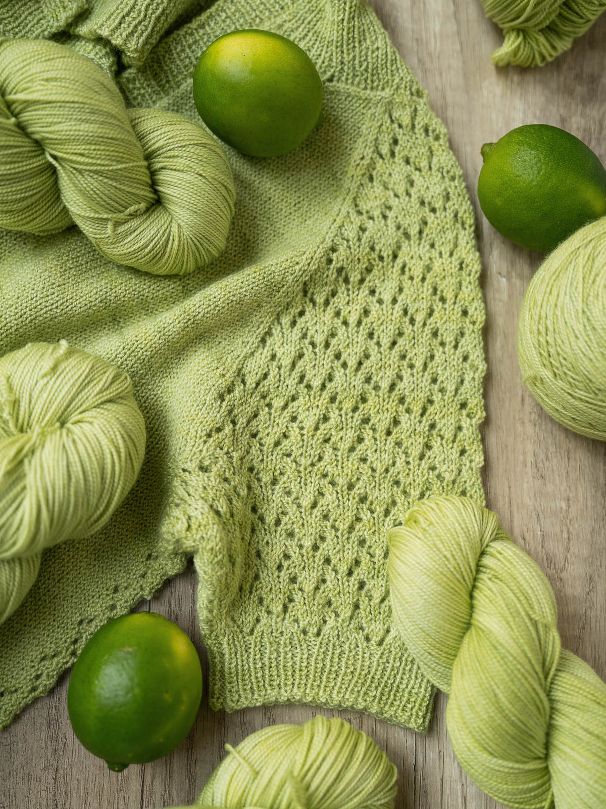 Special Edition Fingering <br><small>merino & silk</small>
