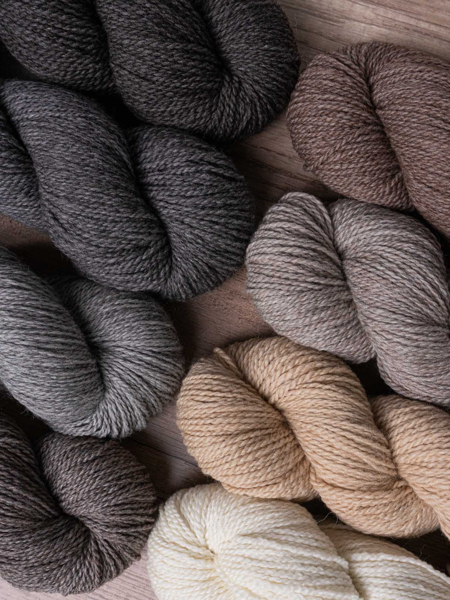 Better Breakfast Worsted Merino & Dehaired alpaca