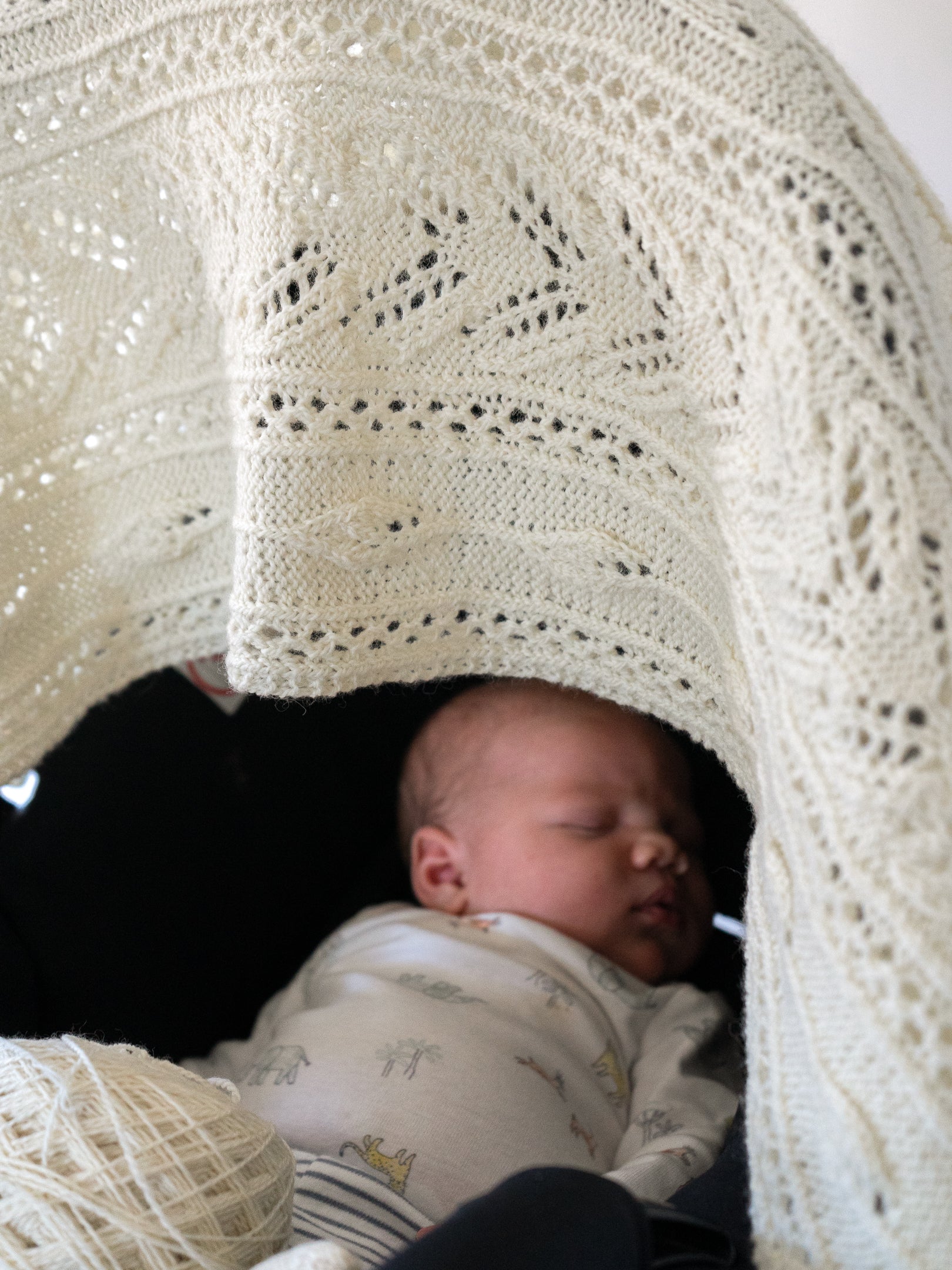 Birds, Bees, and Buds Scarf, Wrap, or Blanket <br/><small>knitting pattern</small>