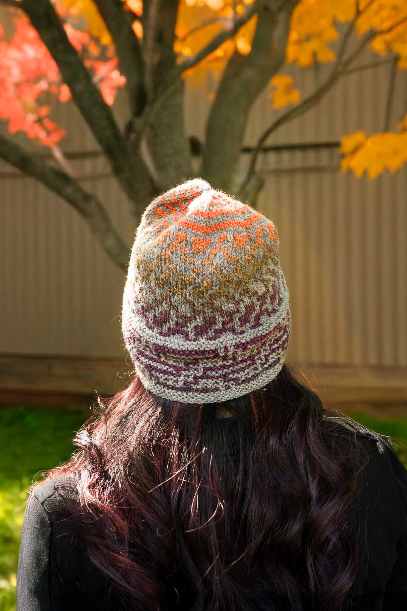 Brocadia Cap Special Kit