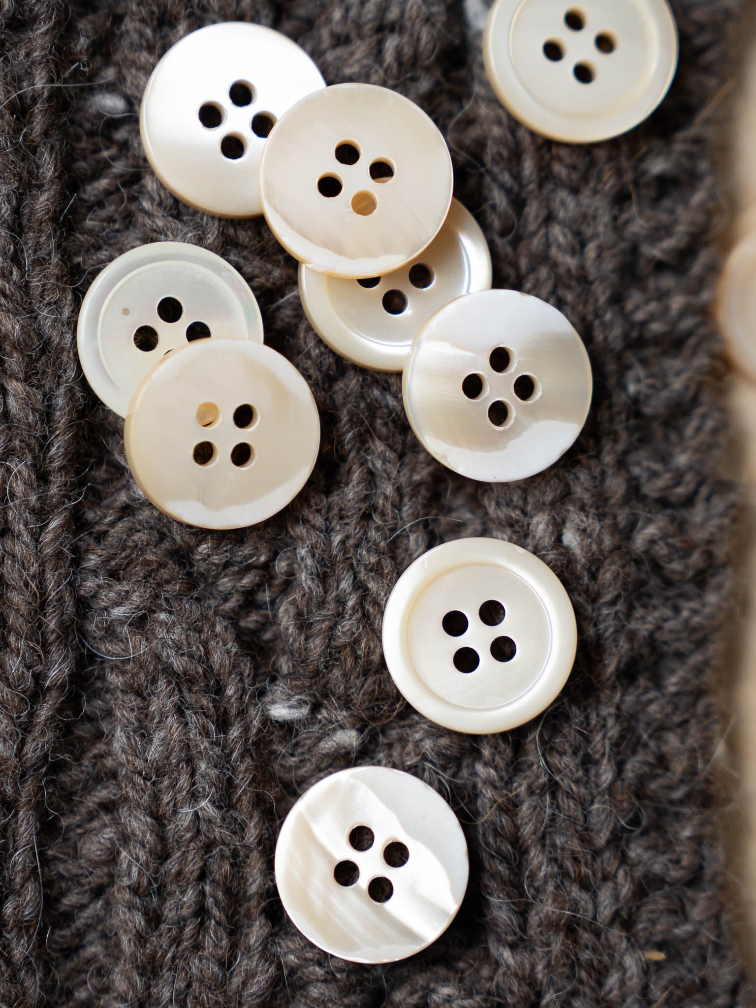 Devon <br/><small>12mm Shell Button</small>