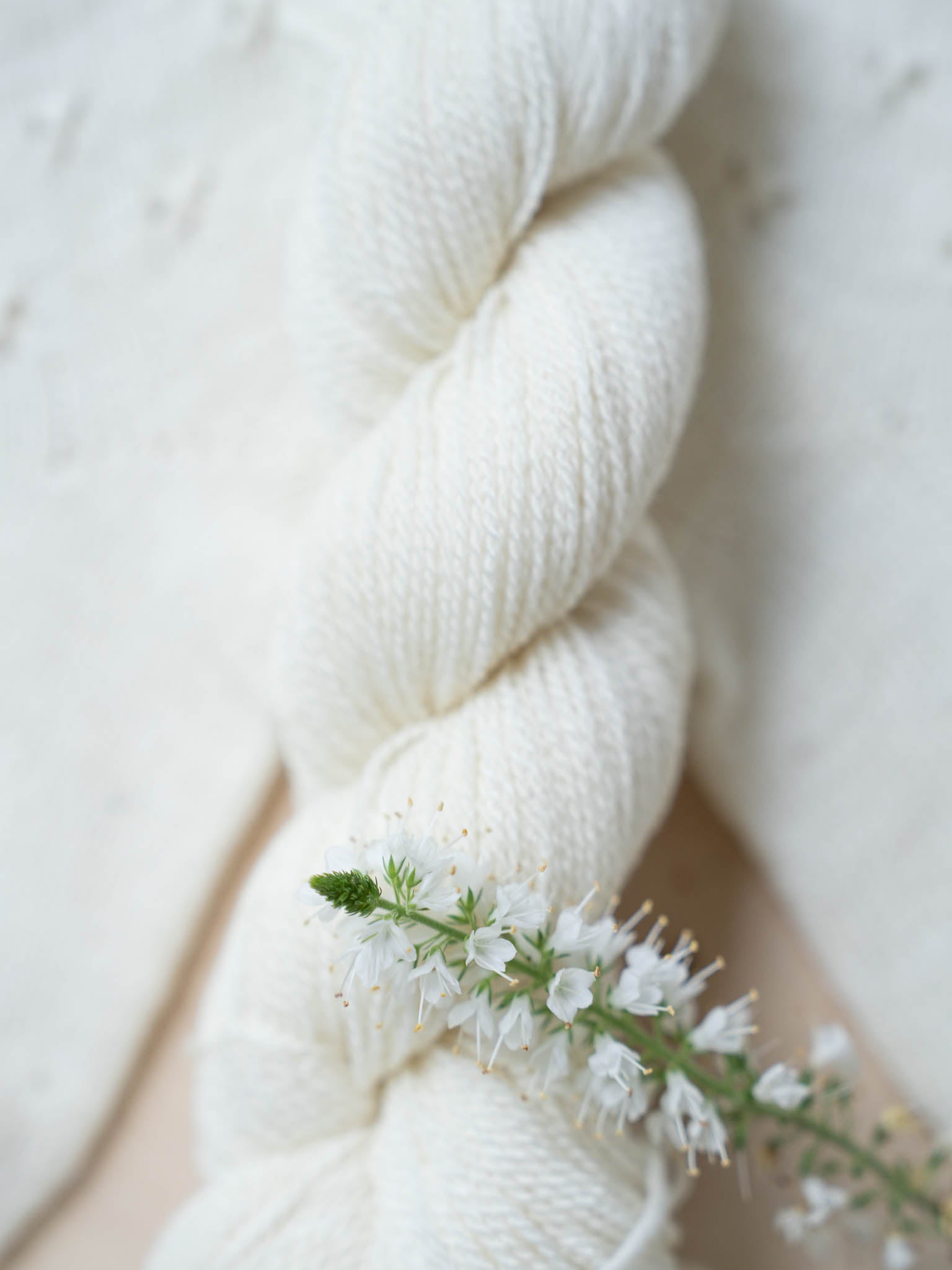 Forbidden Fruit Sock Kit