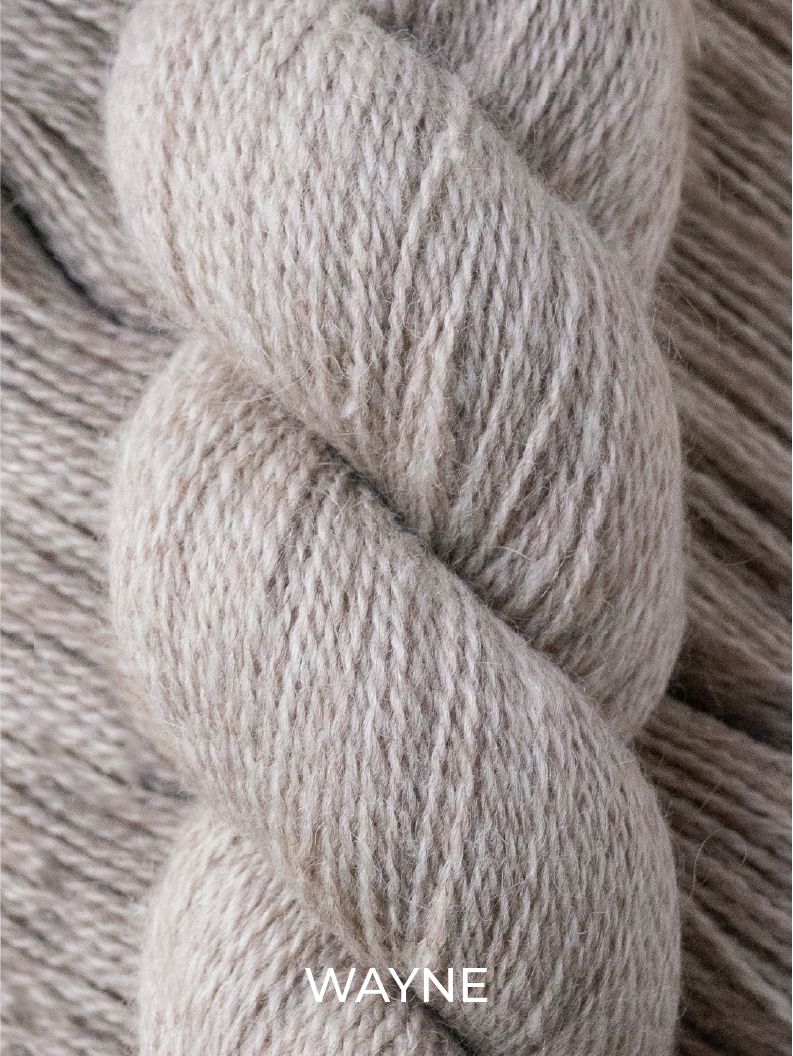 the G.O.A.T. Fingering <br><small>yearling mohair & merino</small>
