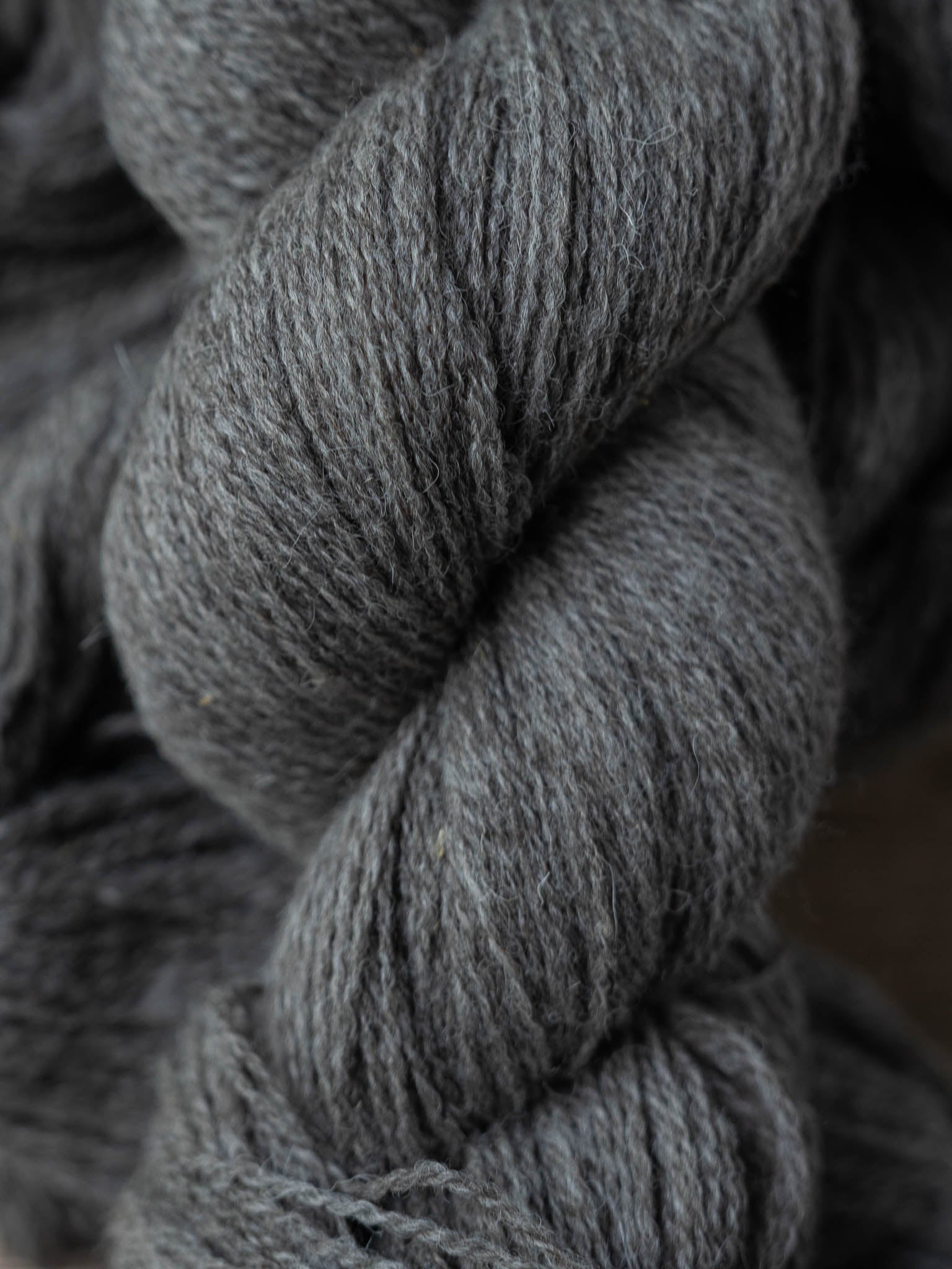 Jacob's Dream Sport 100% jacob wool