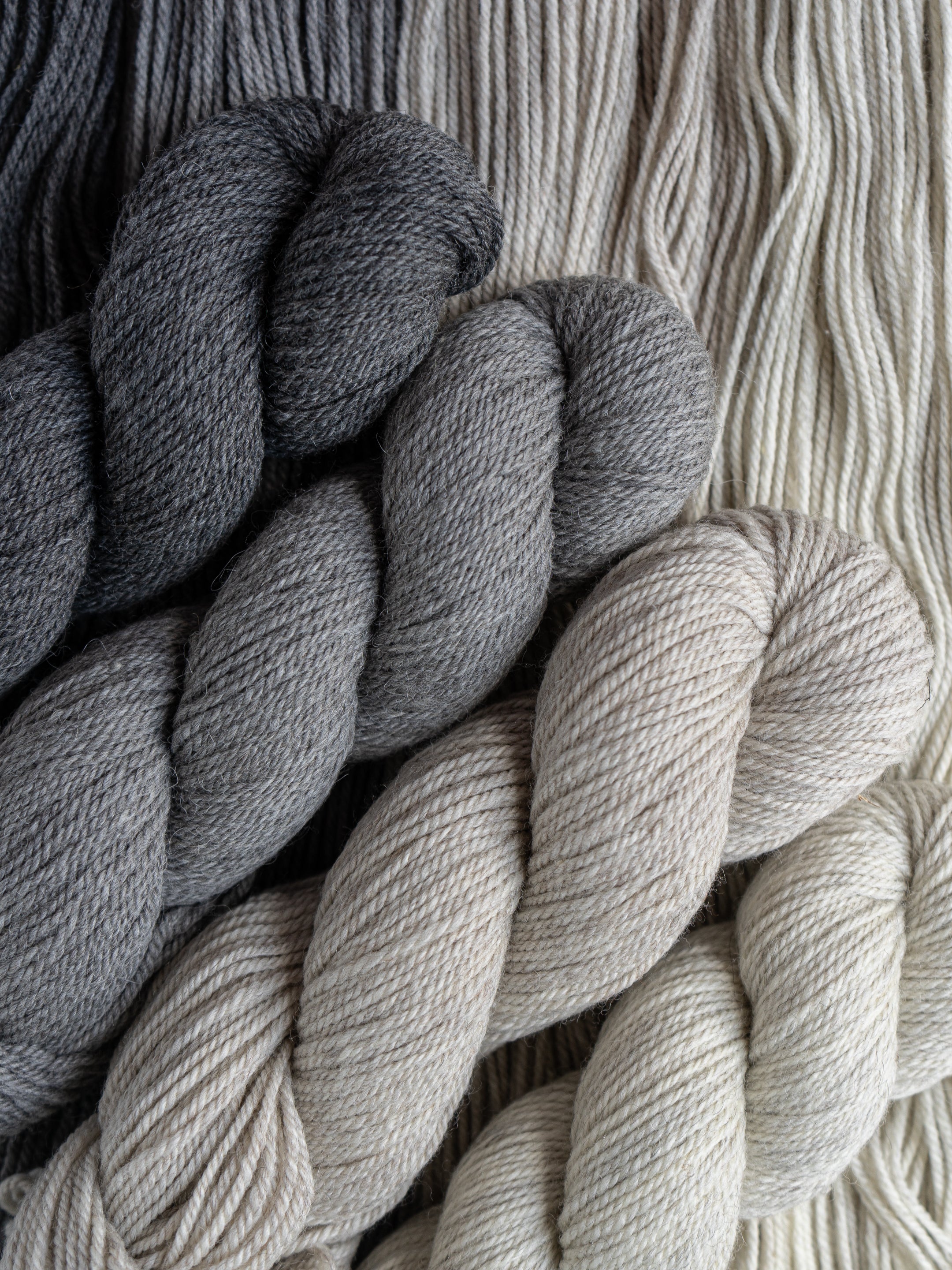 Kent Aran <br><small>merino & romney</small>