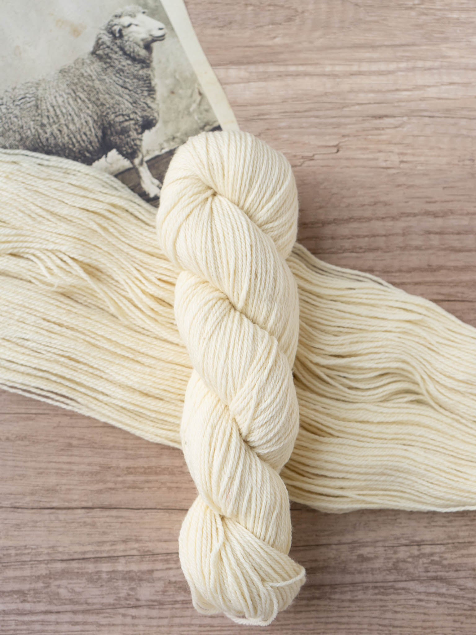 Polypay Worsted