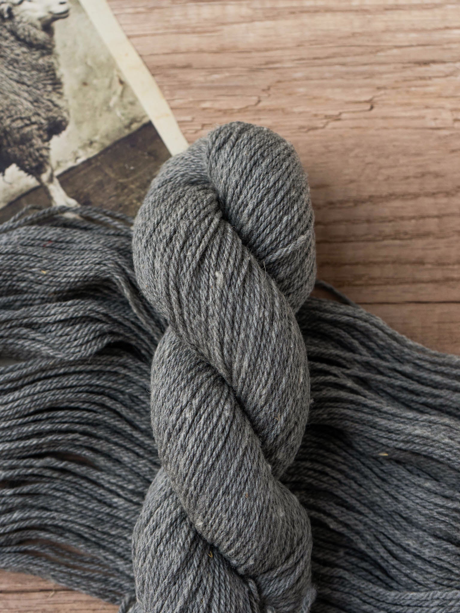 Polypay Worsted