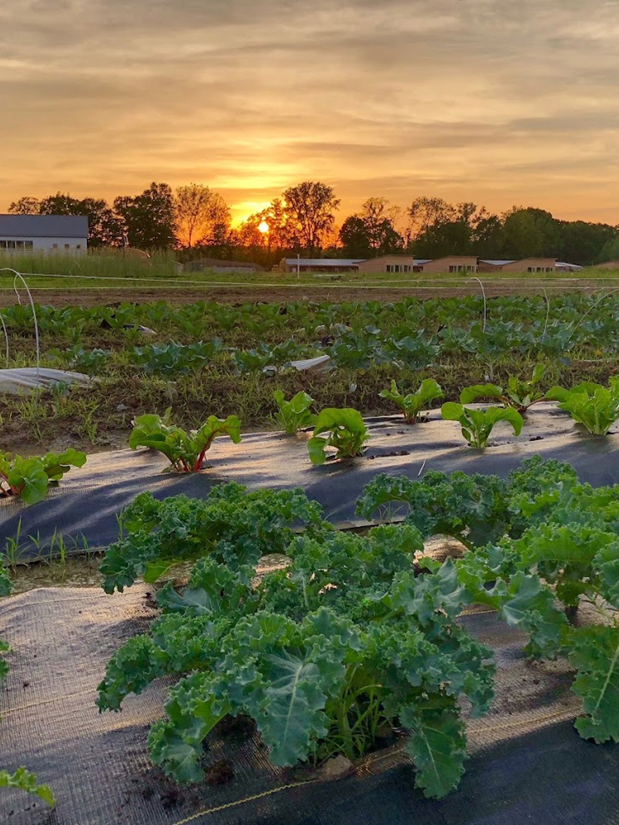 Knitting Retreat Titckets 2025 <br><small>Reserve with a Deposit</small>