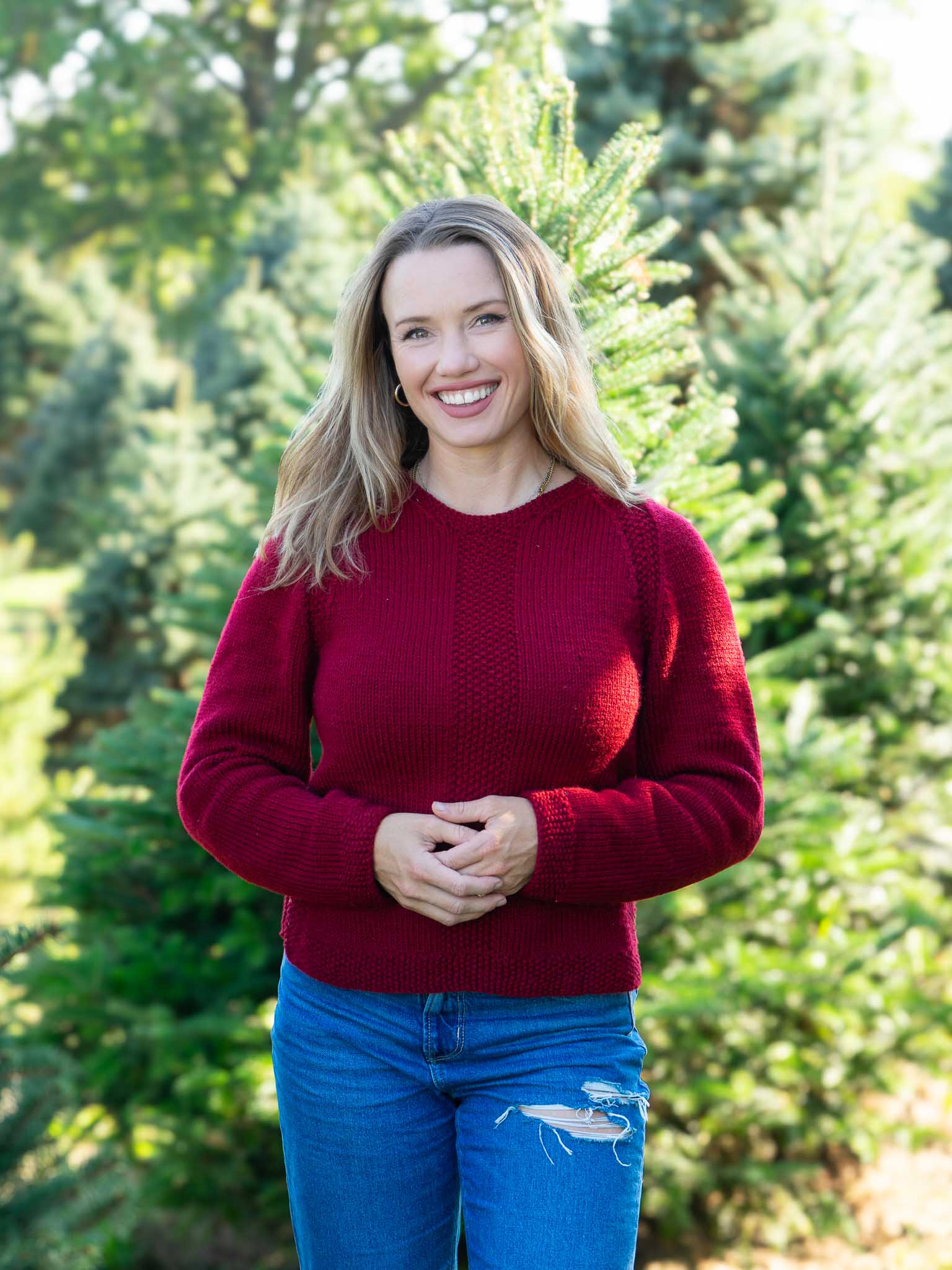 Rough Edges Pullover by Anne Hanson <br/><small>Featured Festivus Pattern</small>