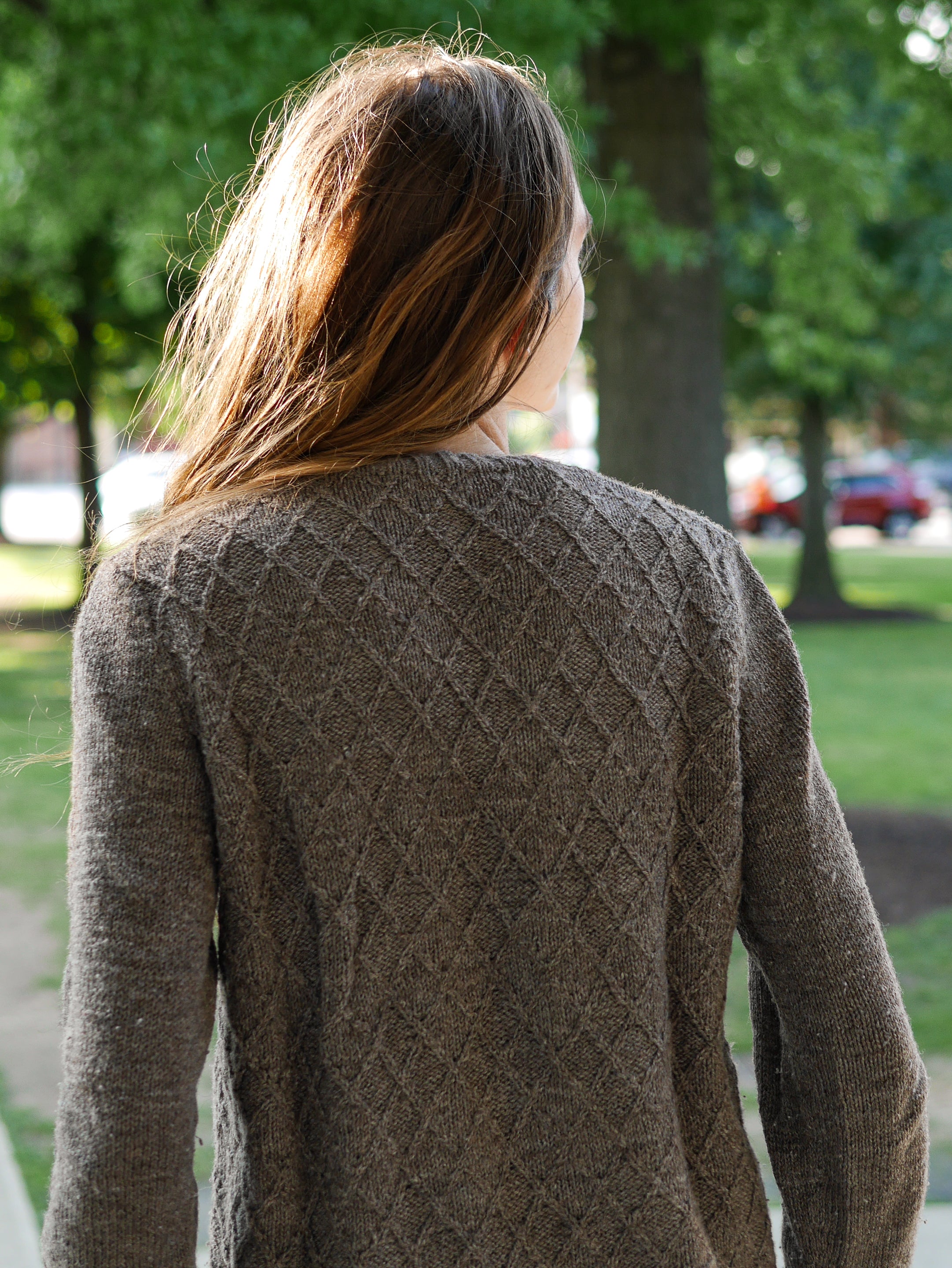 Subterraneans Cardigan <br/><small>knitting pattern</small>