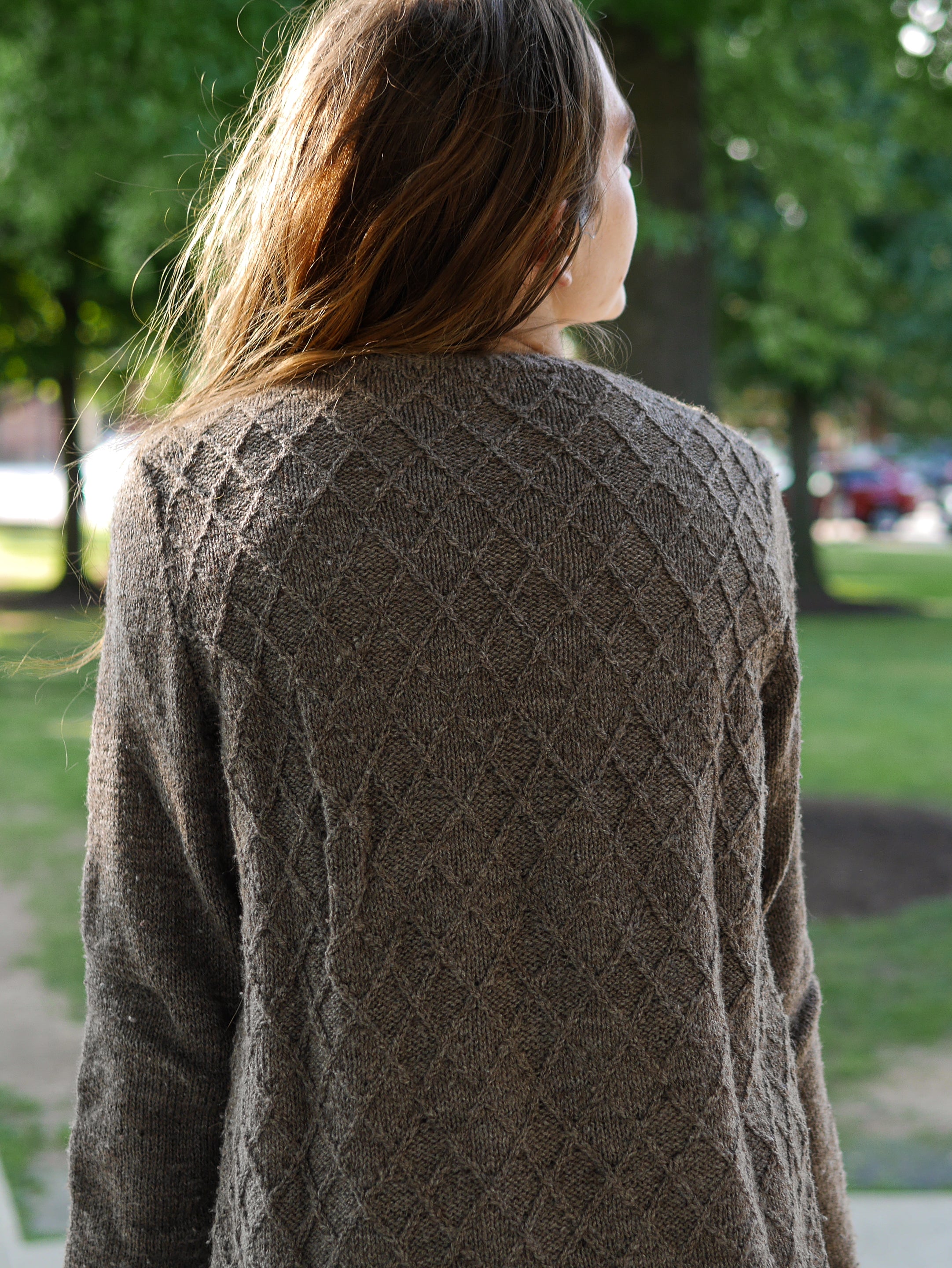 Subterraneans Cardigan <br/><small>knitting pattern</small>