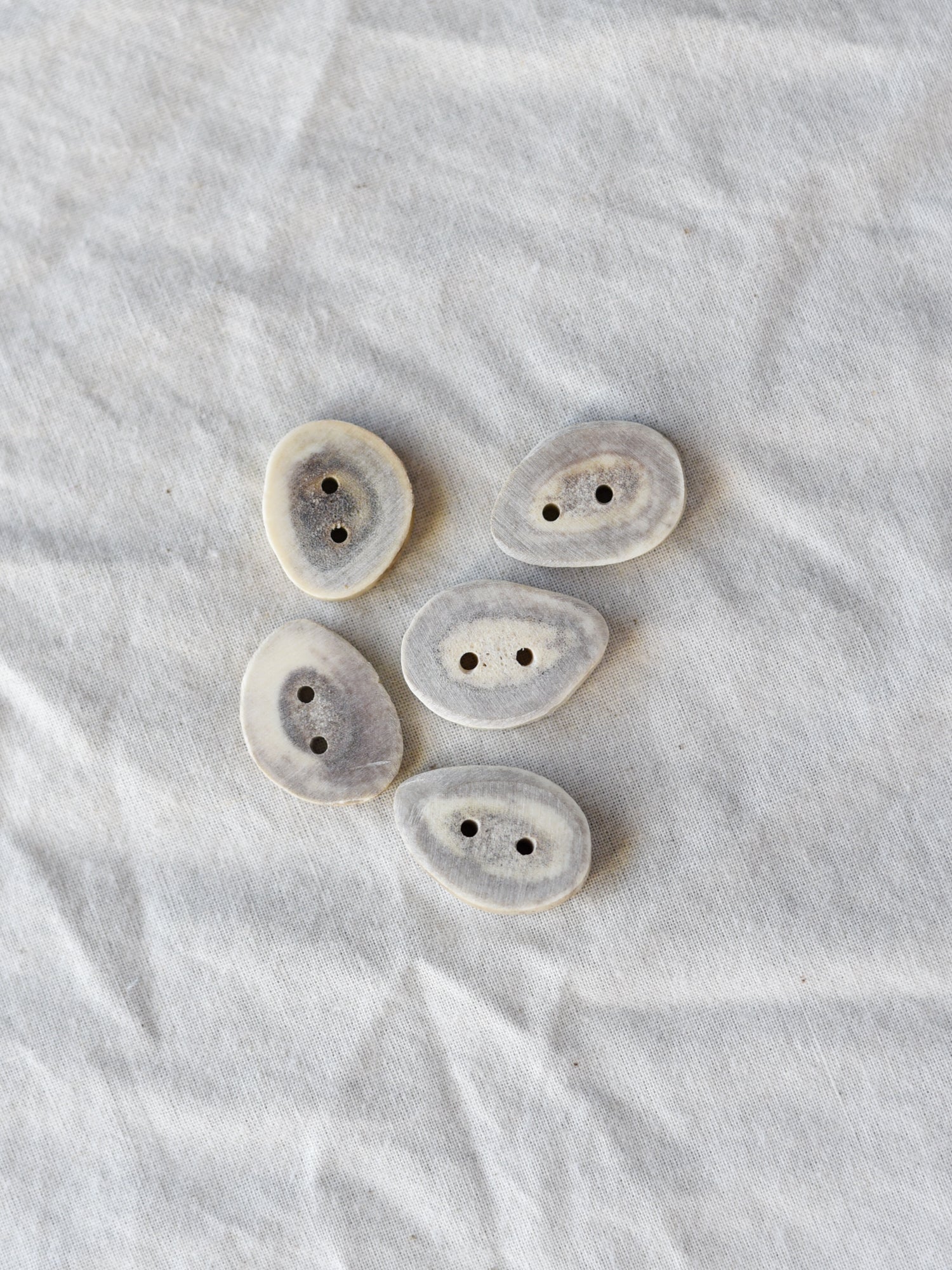 Buck <br/><small>8mm - 15mm Antler Button</small>