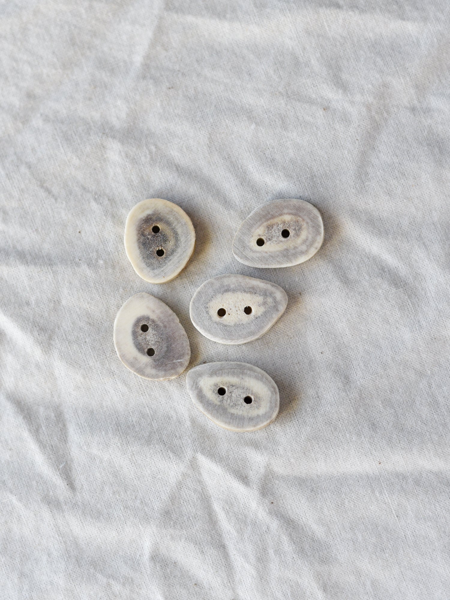 Buck Antler Buttons