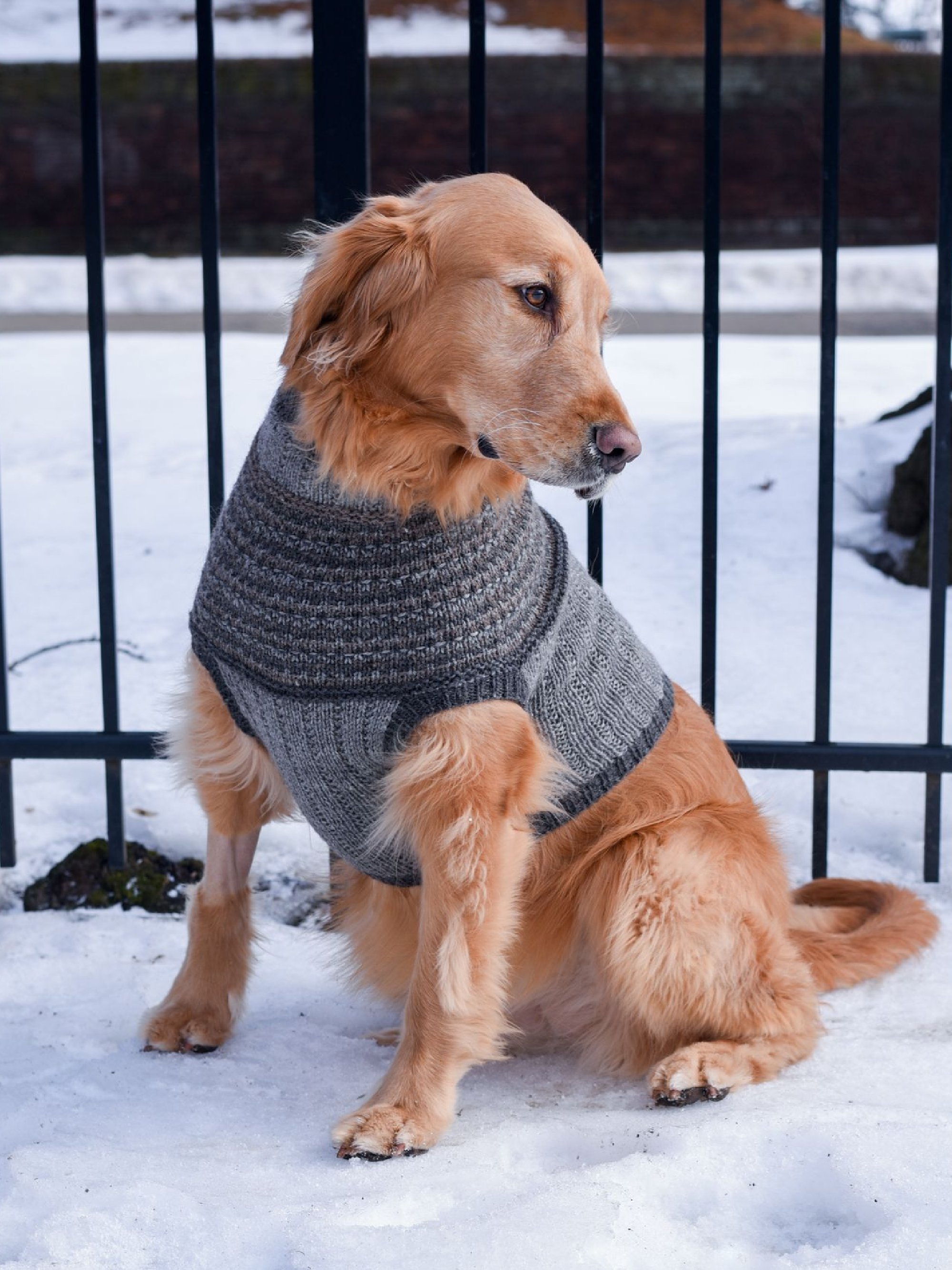 Champlain Pupover <br/><small>knitting pattern</small>