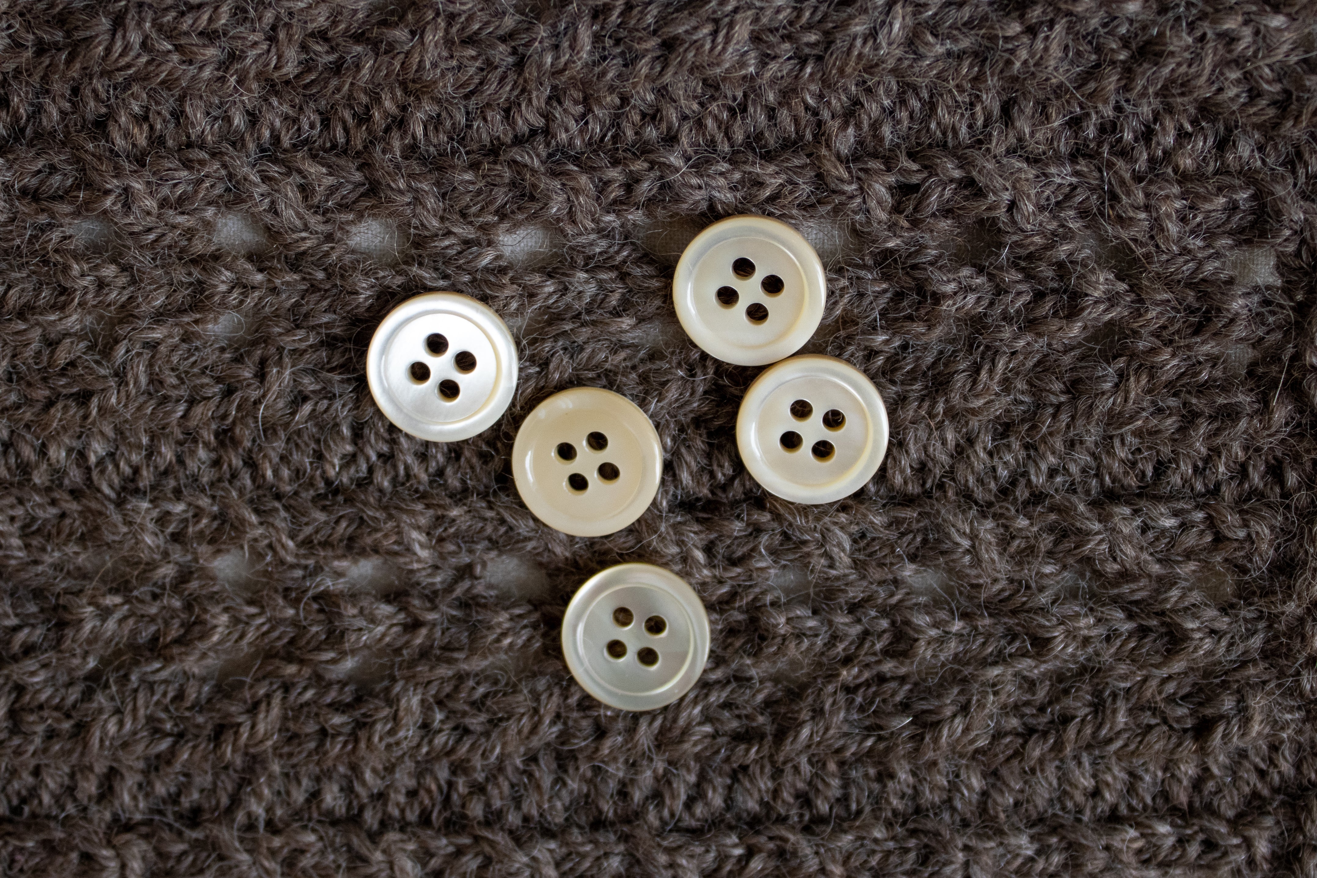 Devon <br/><small>12mm Shell Button</small>