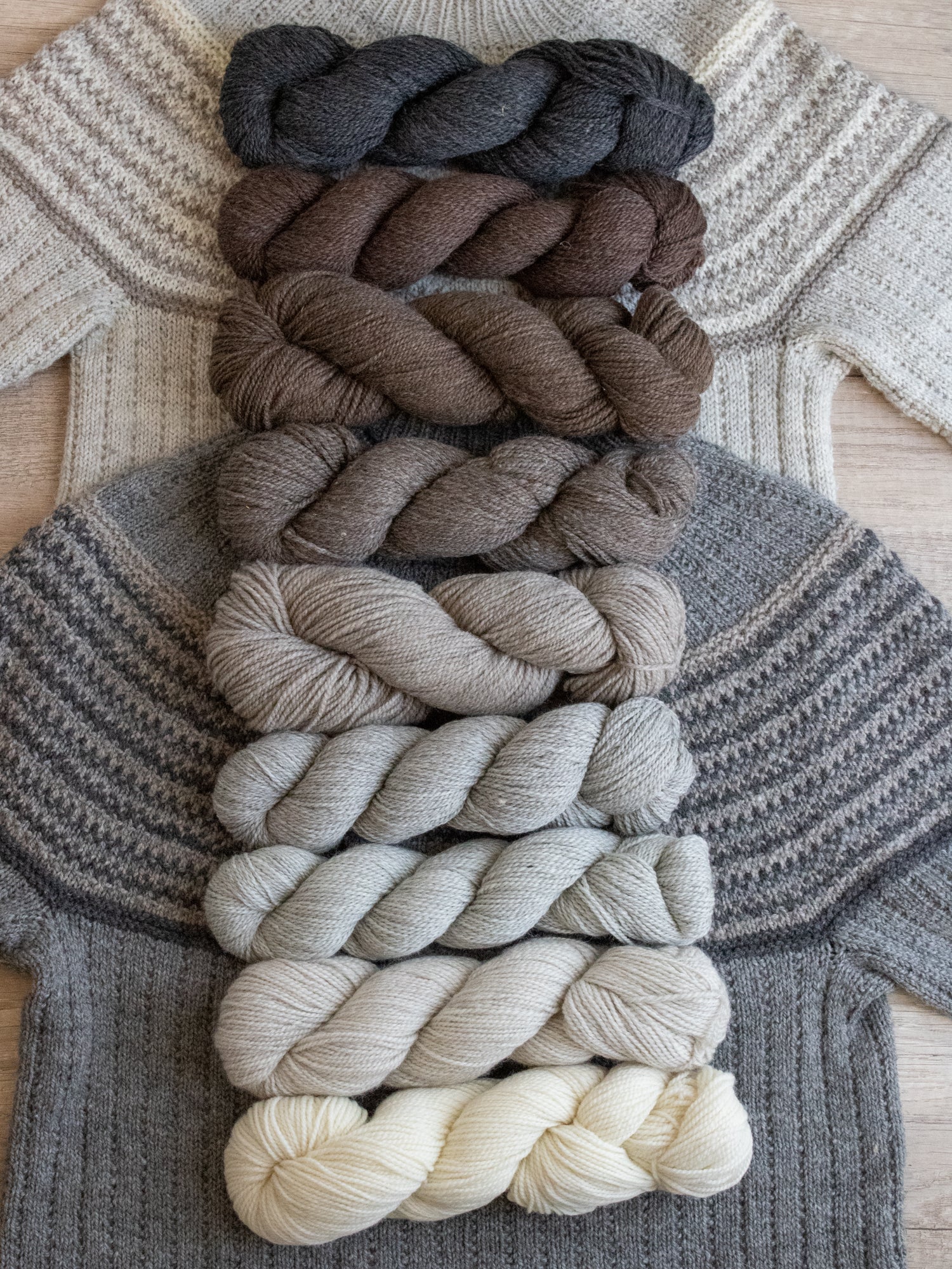 Kent DK <br><small>merino & romney</small>