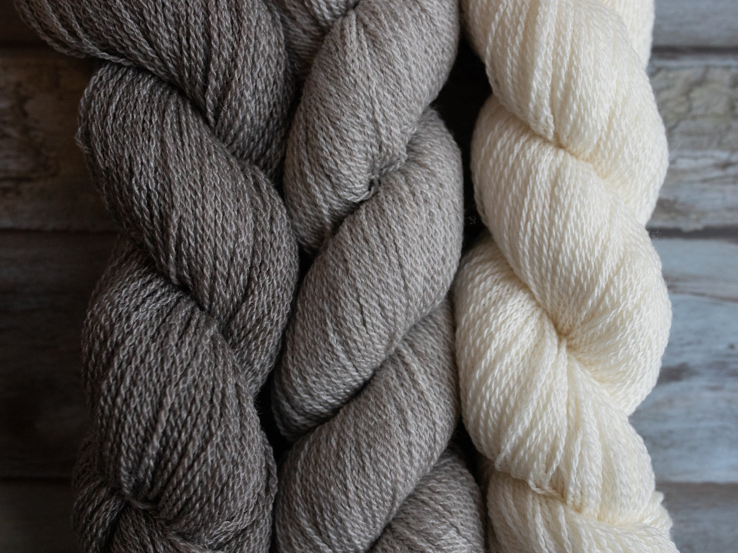 Modern Deco Lace
