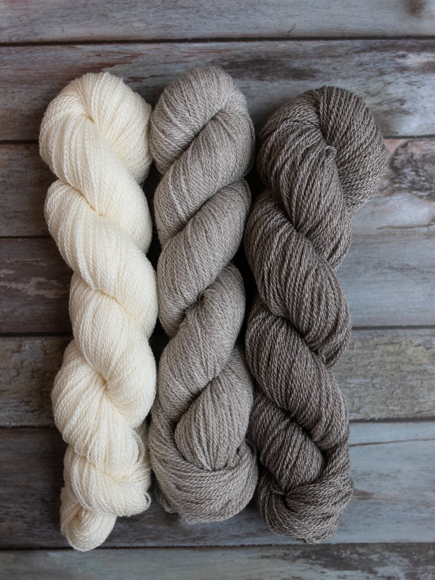 Modern Deco Lace