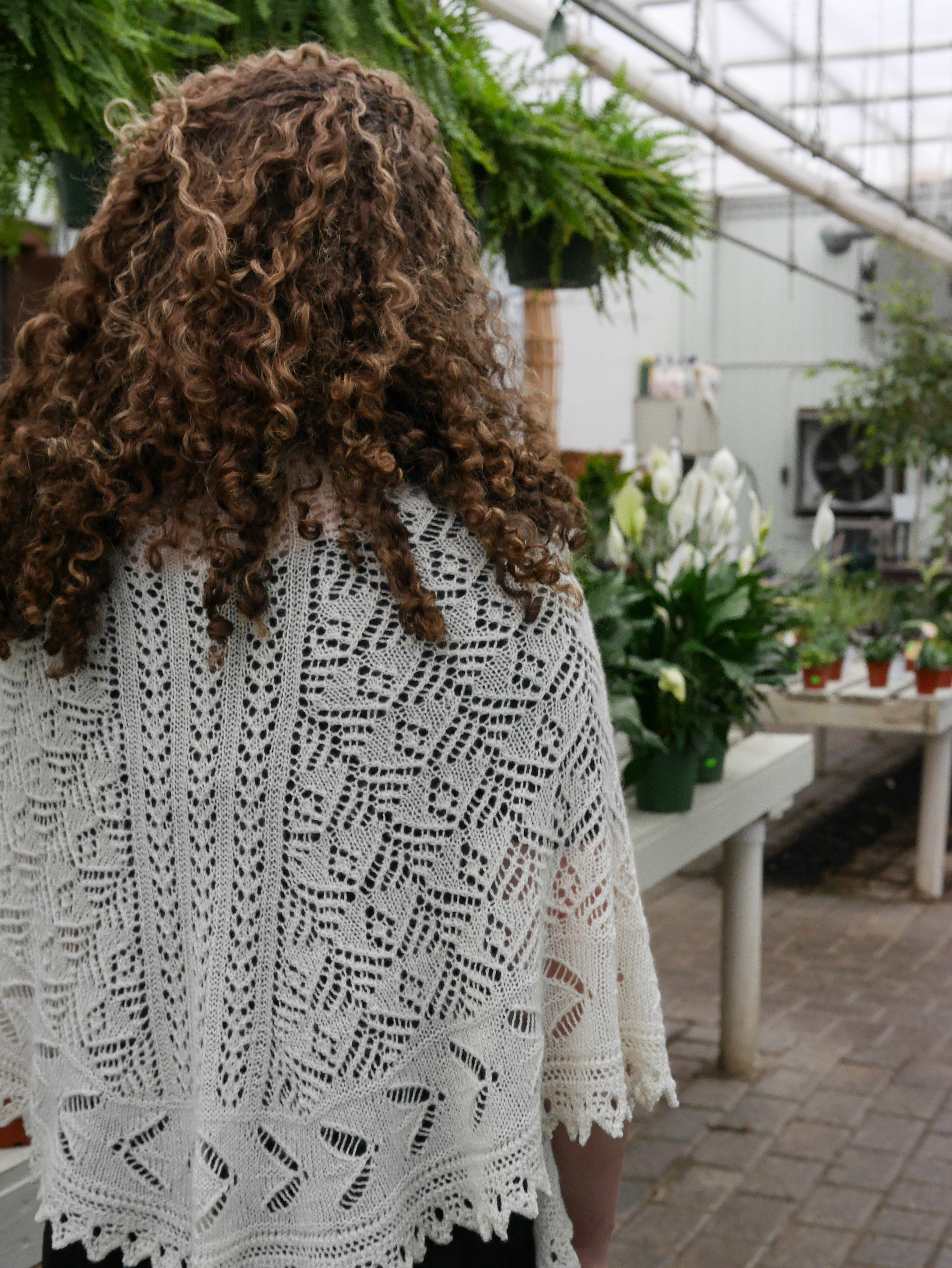 Lacewing <br/><small>knitting pattern</small>