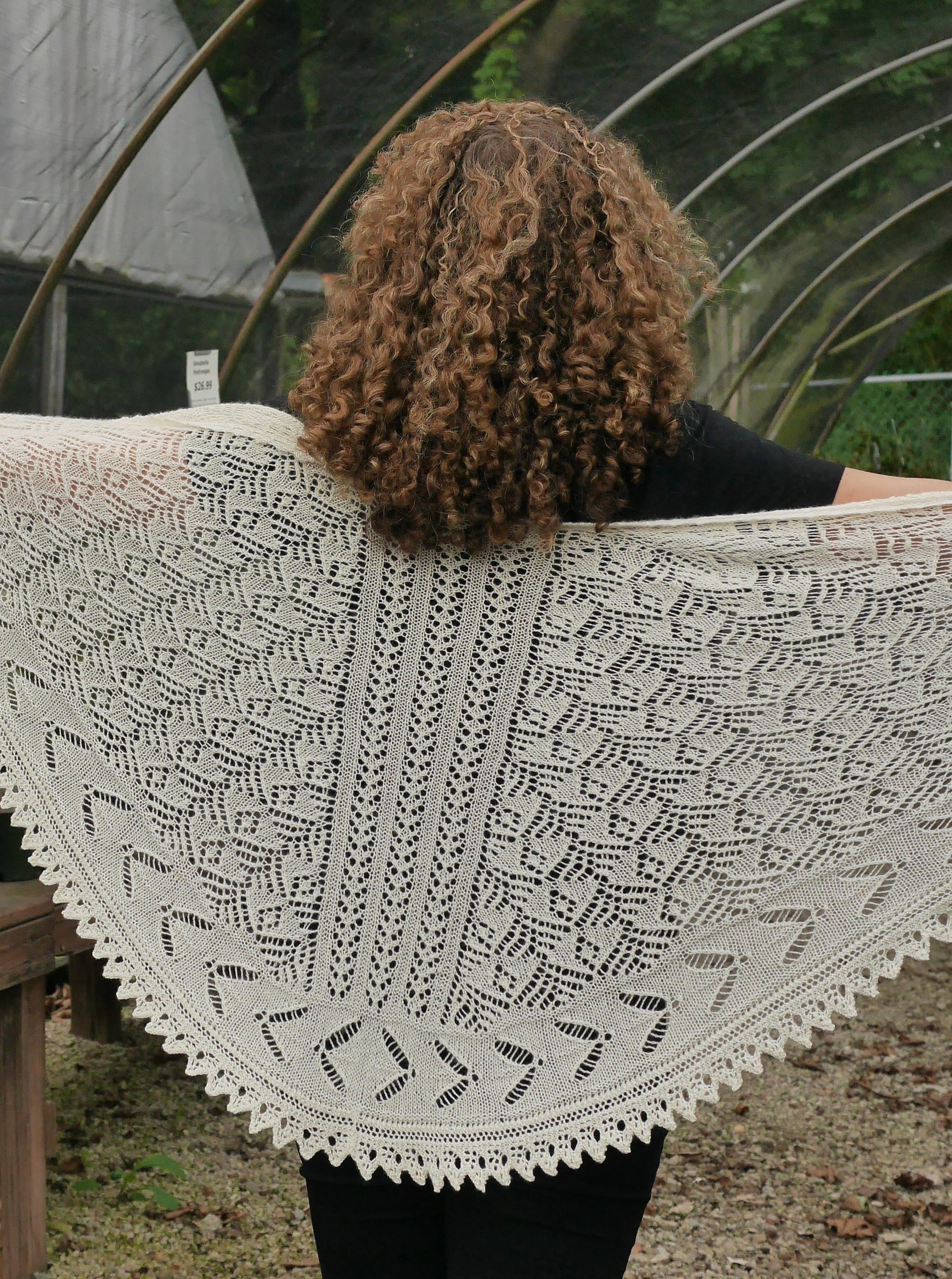 Lacewing <br/><small>knitting pattern</small>