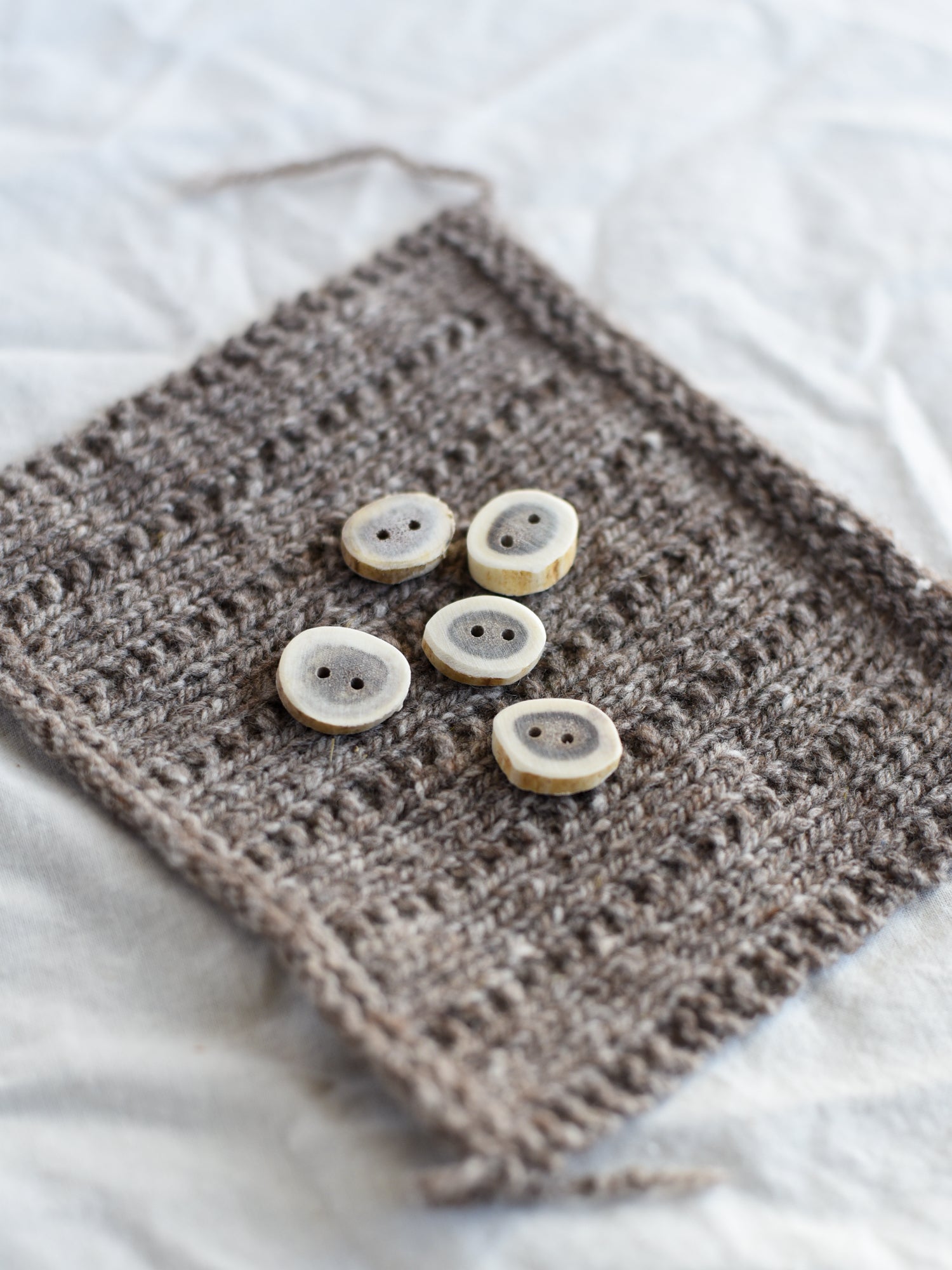 Doe <br/><small>15mm Antler Button</small>