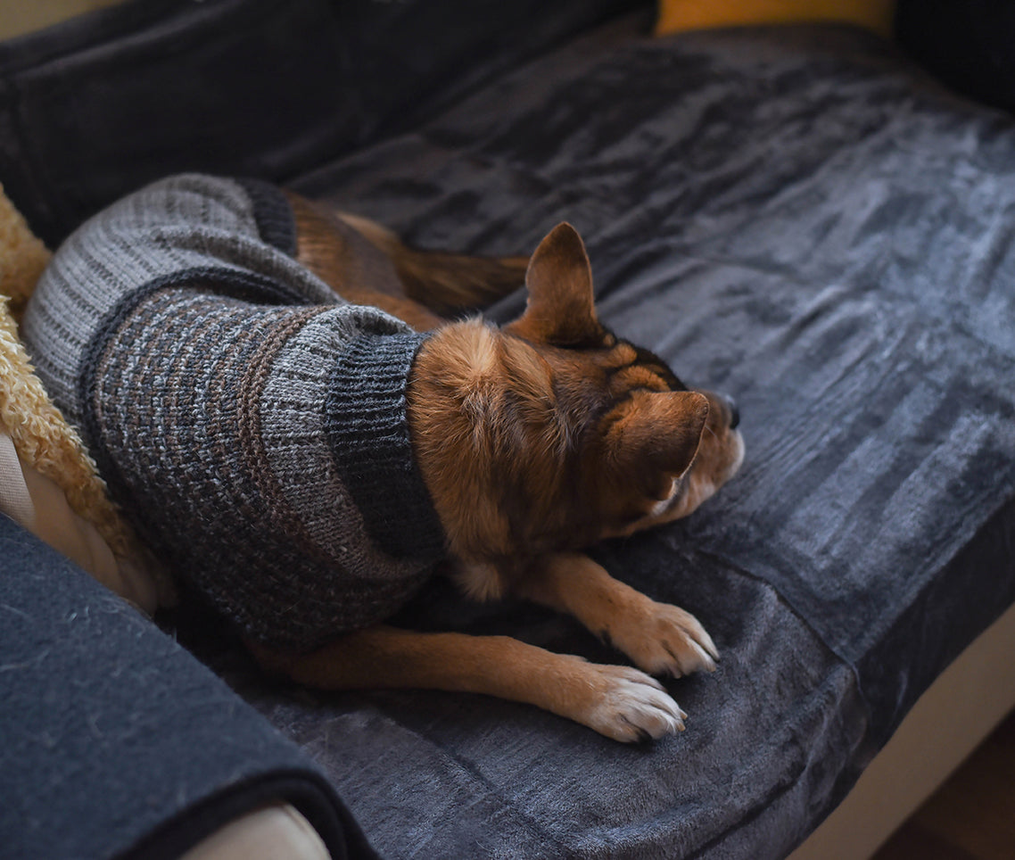 Champlain Pupover <br/><small>knitting pattern</small>