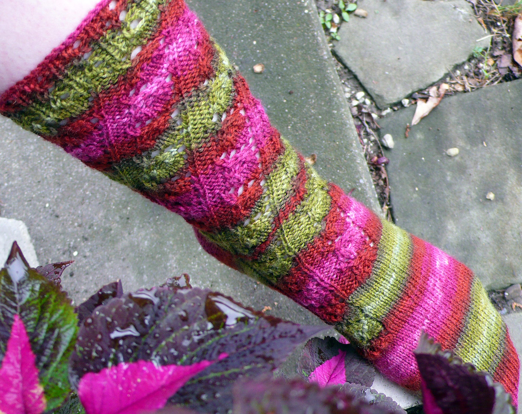 Merlot Vine Sock <br/><small>knitting pattern</small>