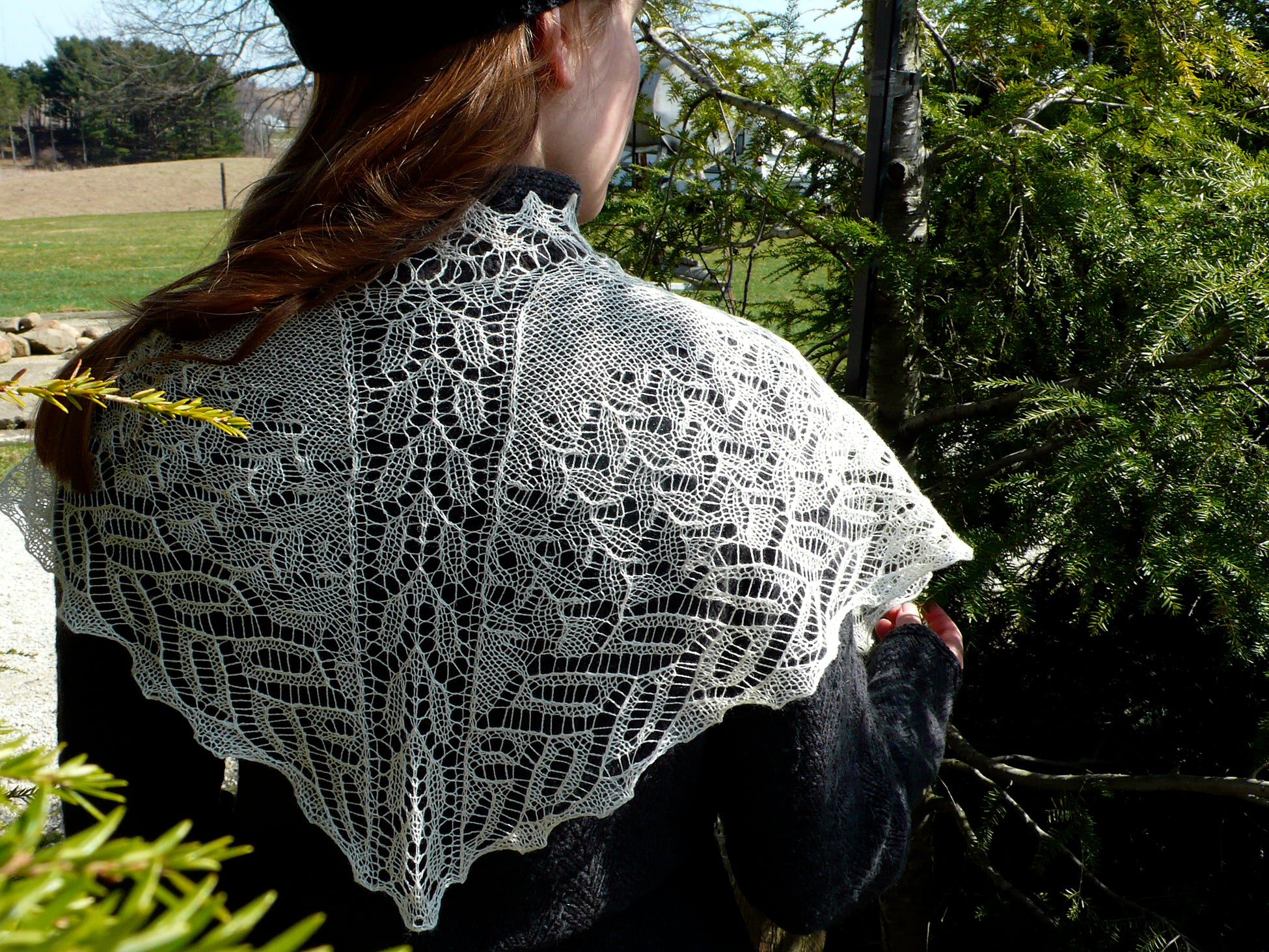 Pine and Ivy <br/><small>knitting pattern</small>