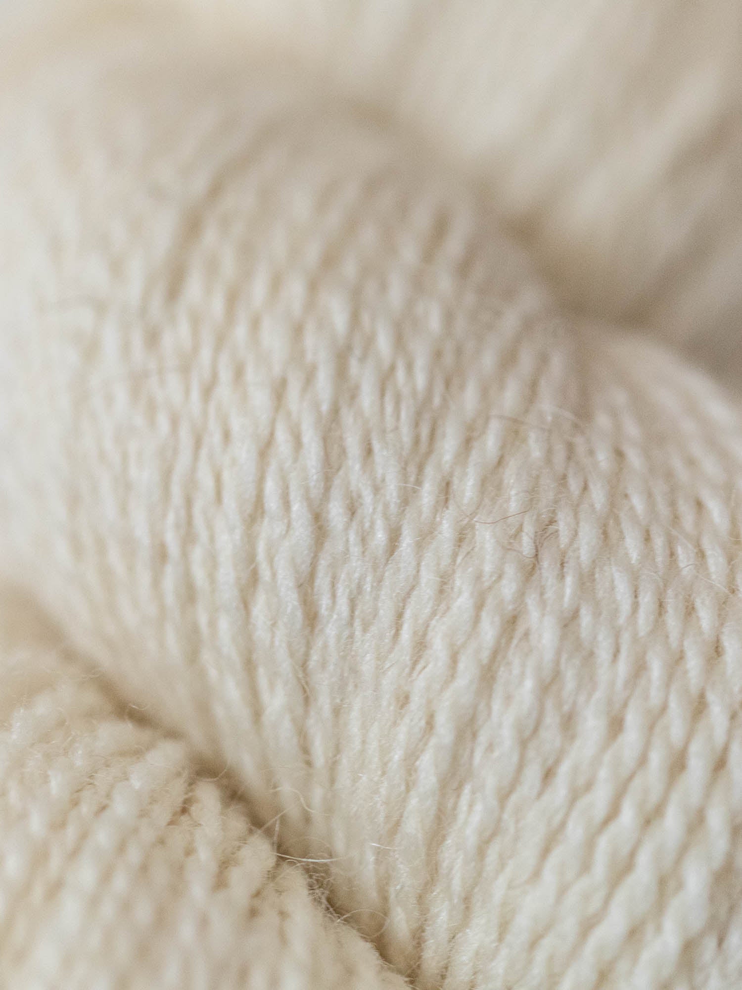 the G.O.A.T. Fingering <br><small>yearling mohair & merino</small>