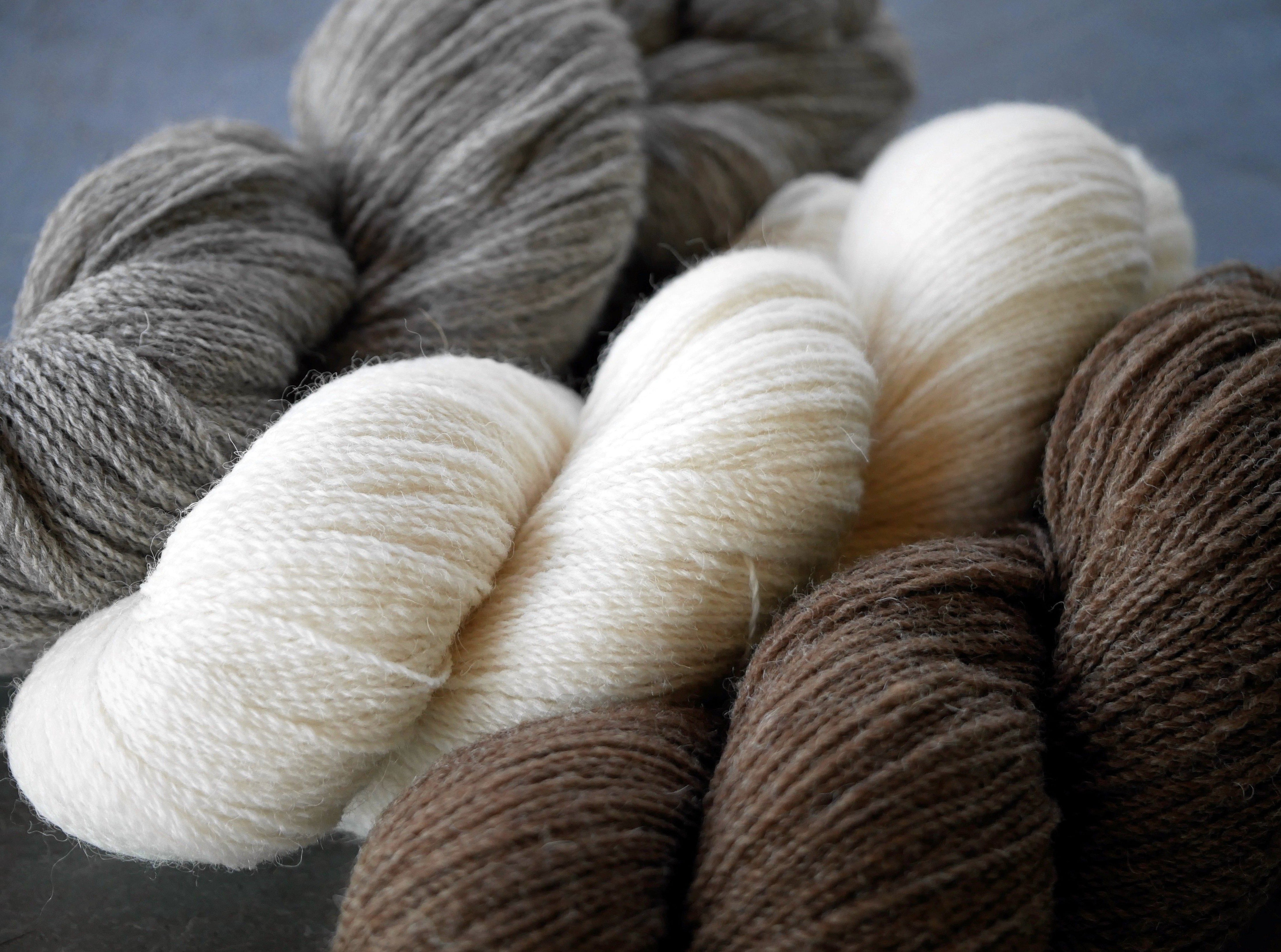 Shetlandia Fingering <br><small>100% british shetland wool</small>