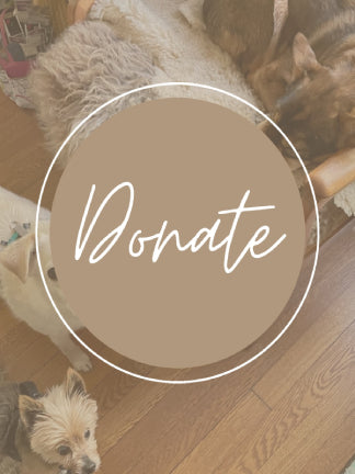 Animals Lost And Found In Kent Donate To JJs Ruff Roads Lost Dog