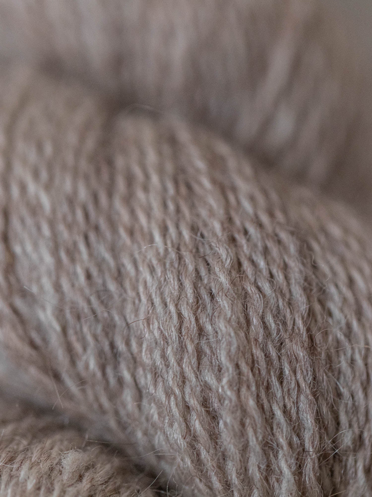 the G.O.A.T. Fingering <br><small>yearling mohair & merino</small>
