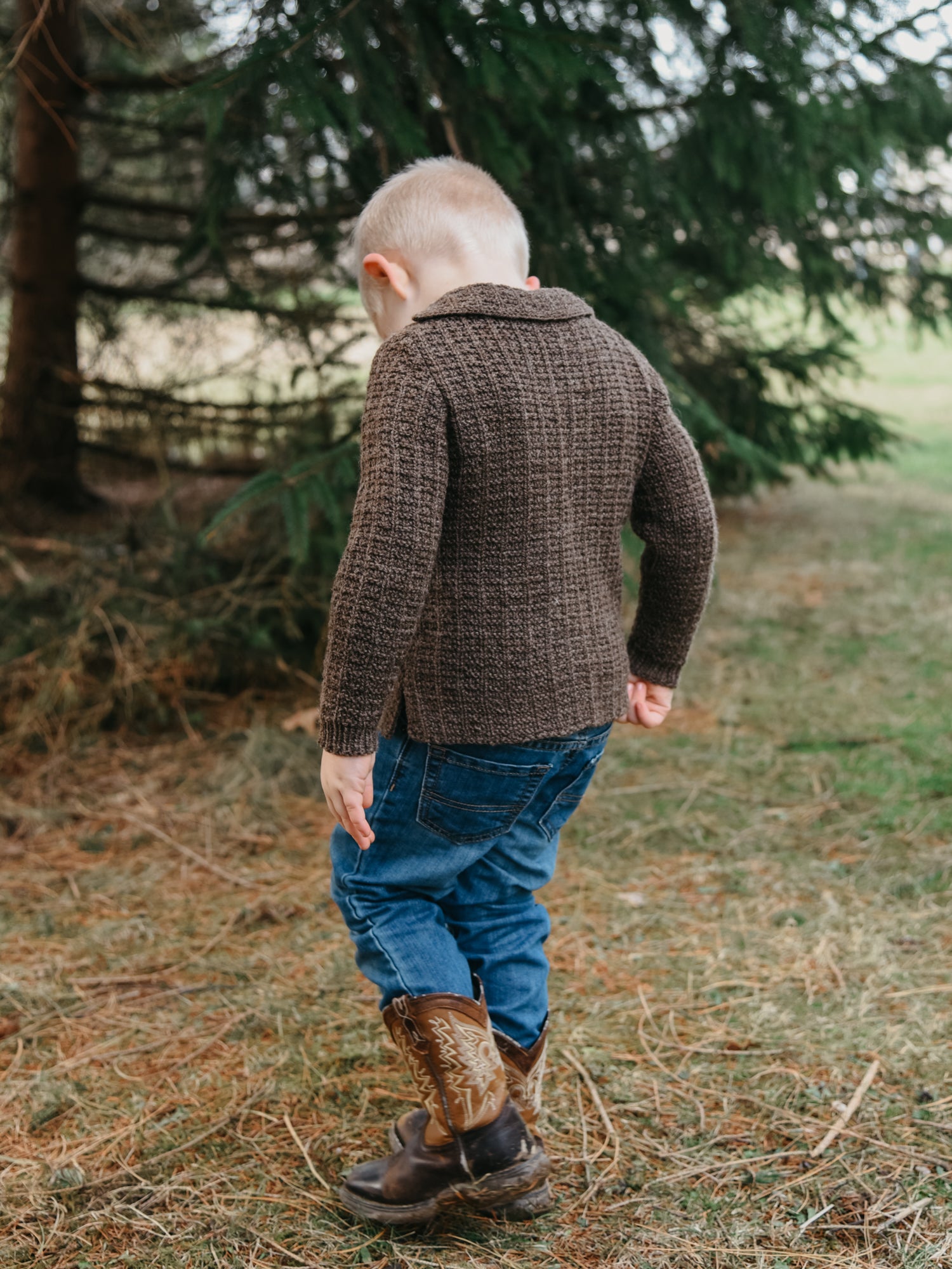 Whitfield Shorty <br/><small>knitting pattern</small>