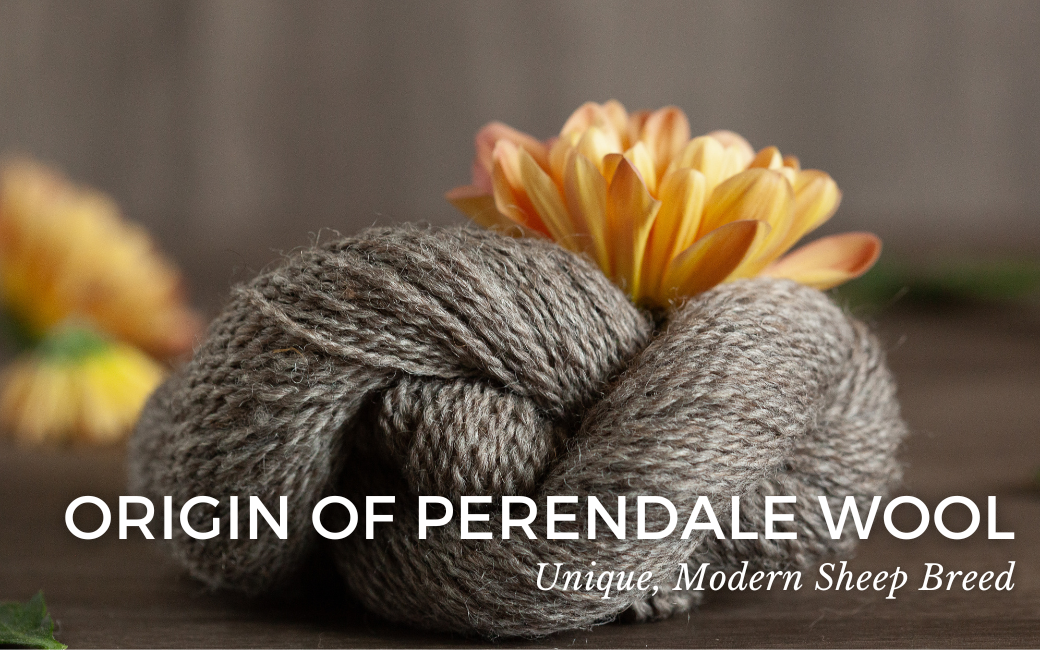 Origin of Perendale Wool