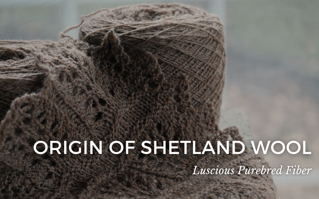 Origin of Shetland Wool
