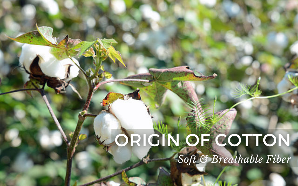 Origin of Cotton