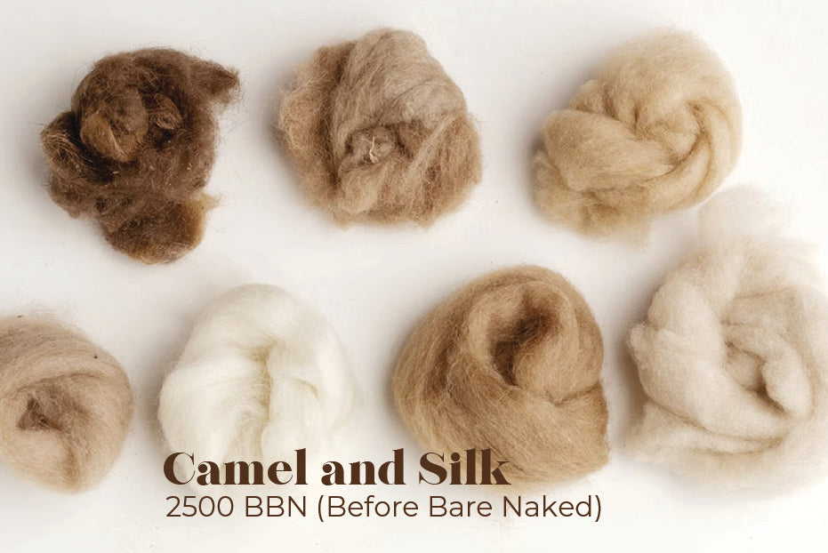 Camel and Silk: 2500 BBN (Before Bare Naked)