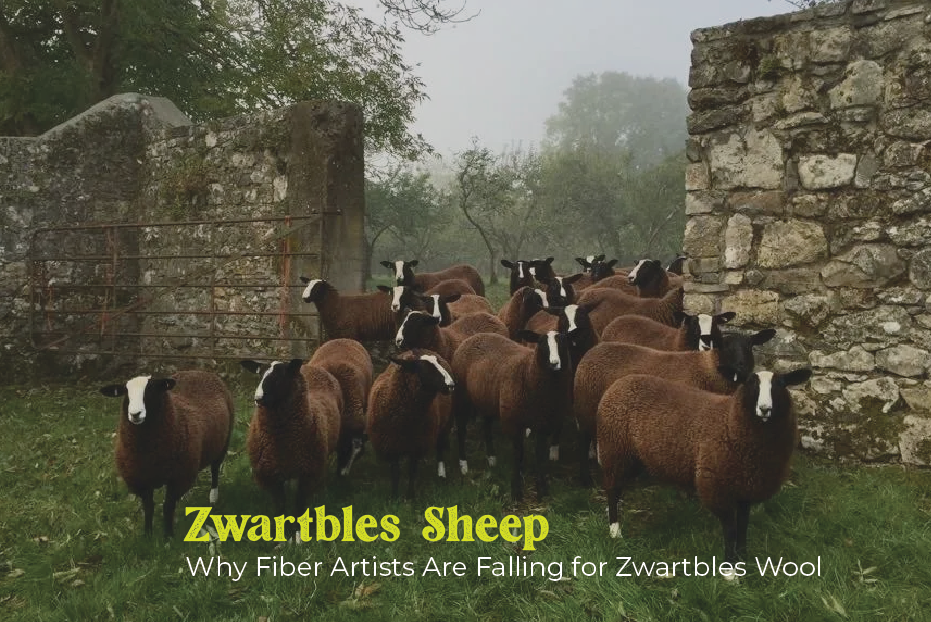 Why Fiber Artists Are Falling for Zwartbles Wool