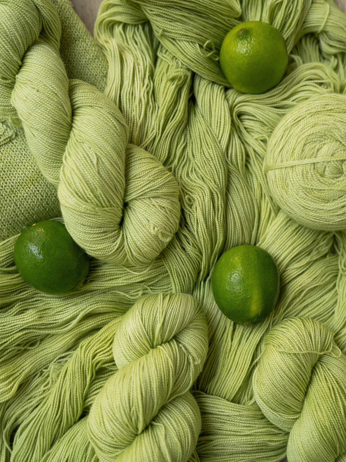 Special Edition Fingering <br><small>merino & silk</small>