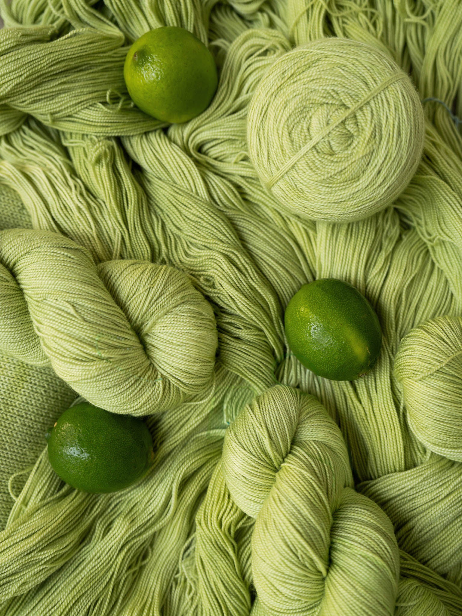 Special Edition Fingering <br><small>merino & silk</small>