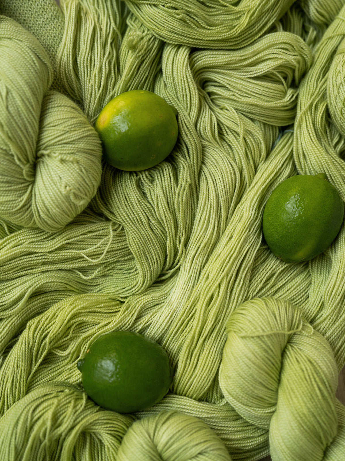 Special Edition Fingering <br><small>merino & silk</small>