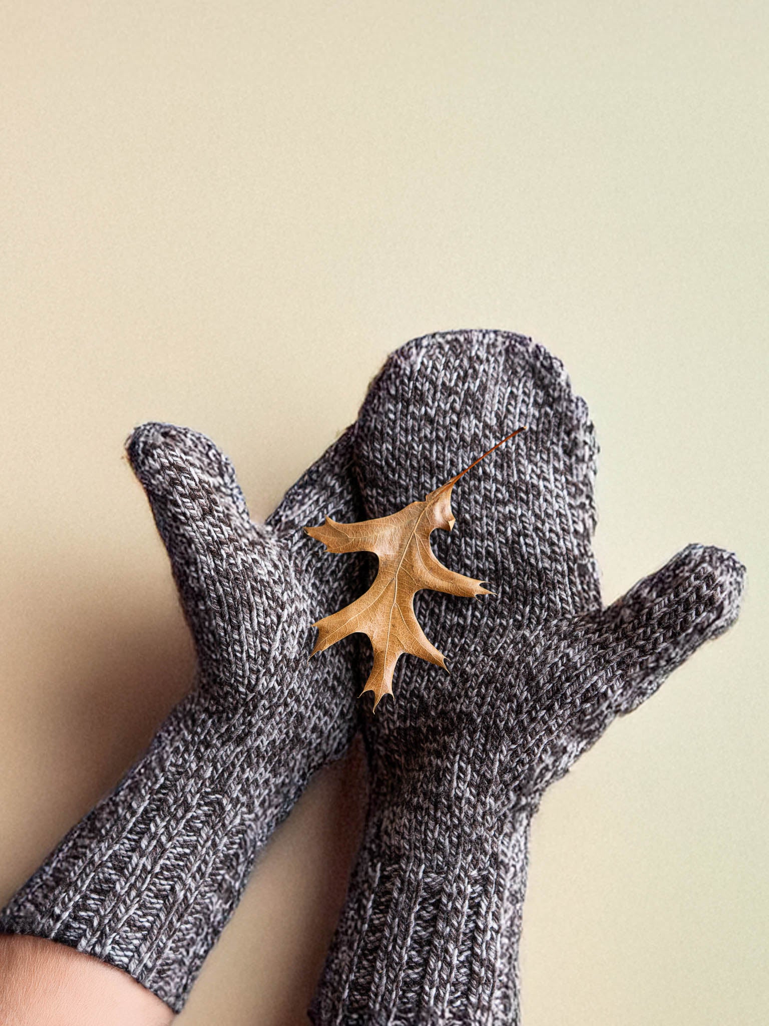 Everybody's Mittens <br/><small>accessory knitting pattern</small>