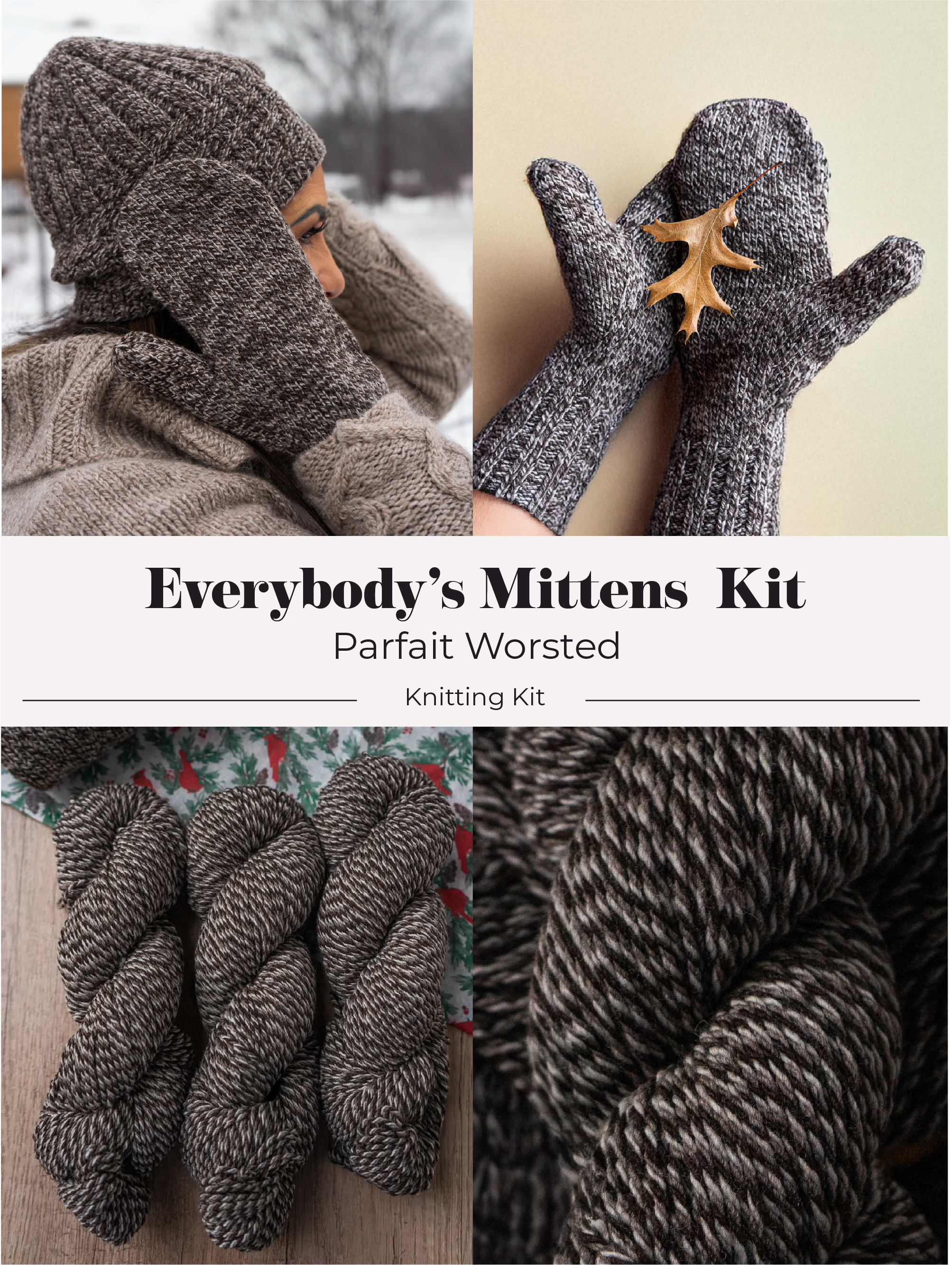 Everybody's Mittens Parfait Worsted Kit