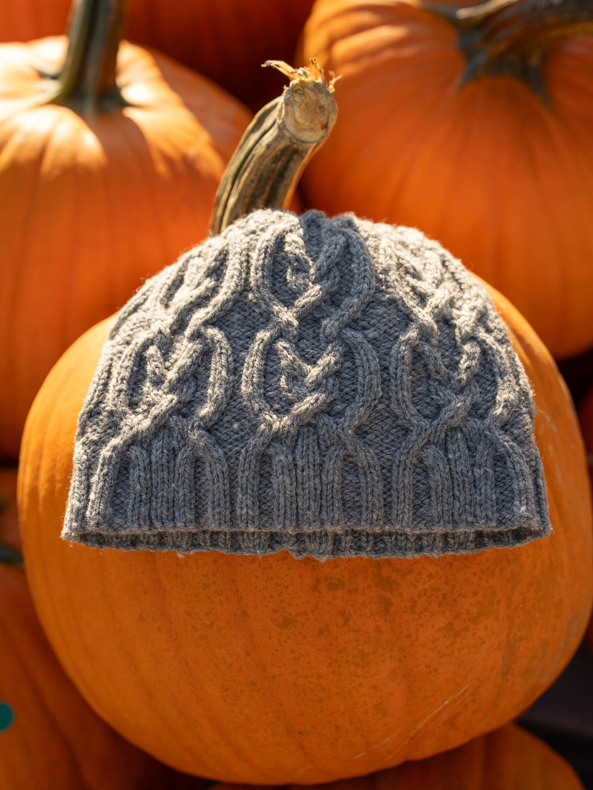 Penderyn Hat by Thea Colman