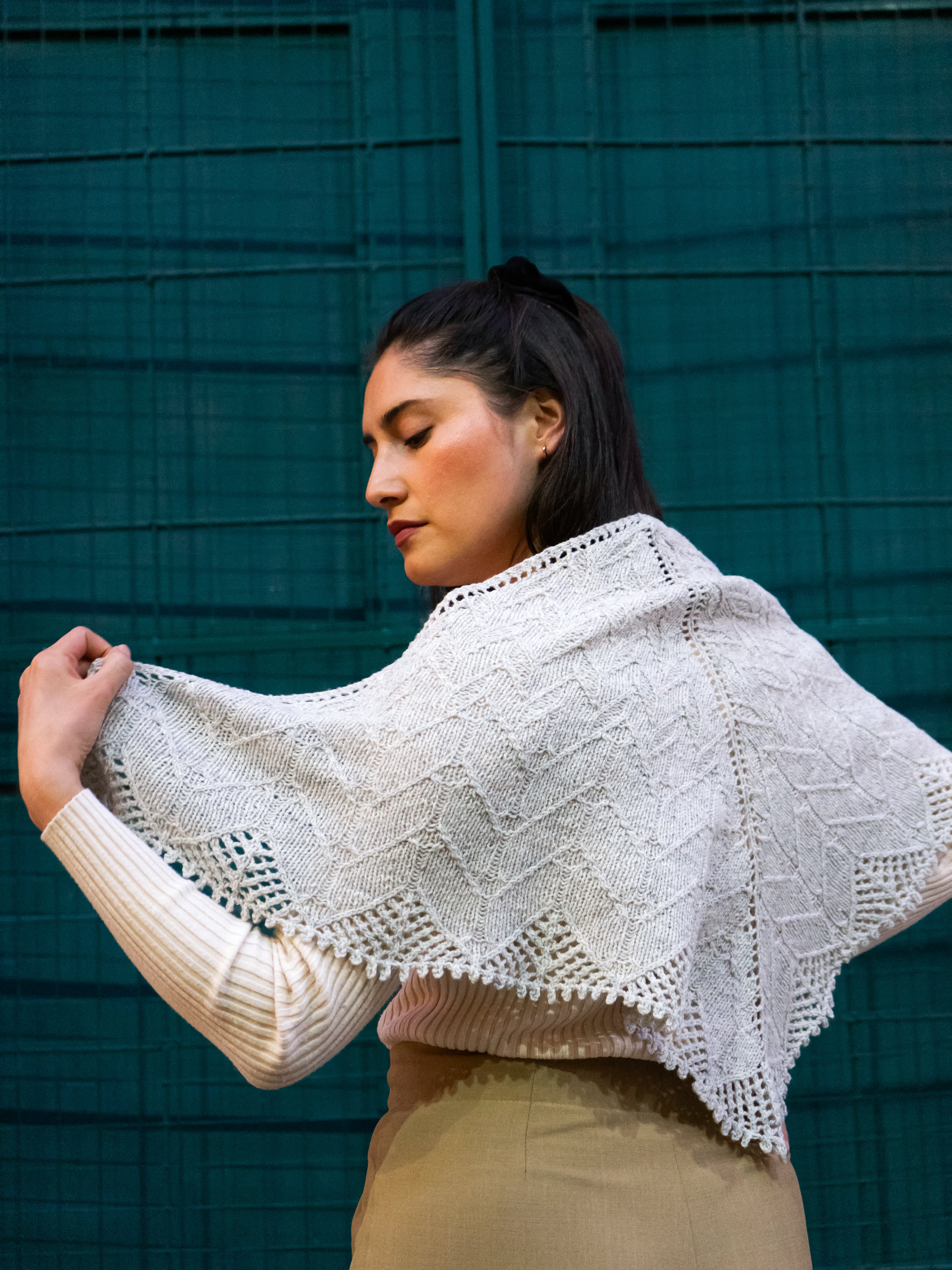 Petals Shawl <br/><small>knitting pattern</small>