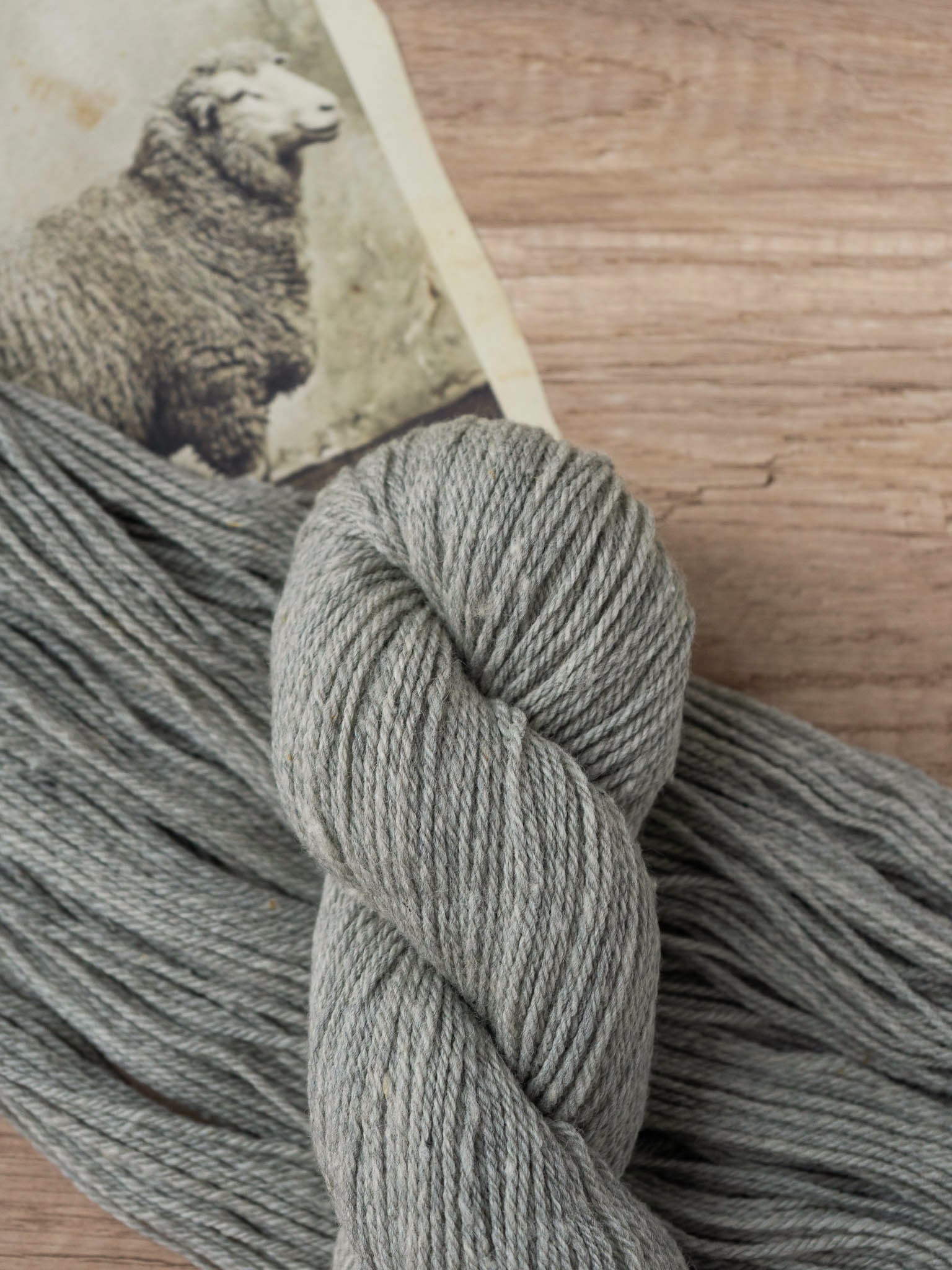 Polypay Worsted