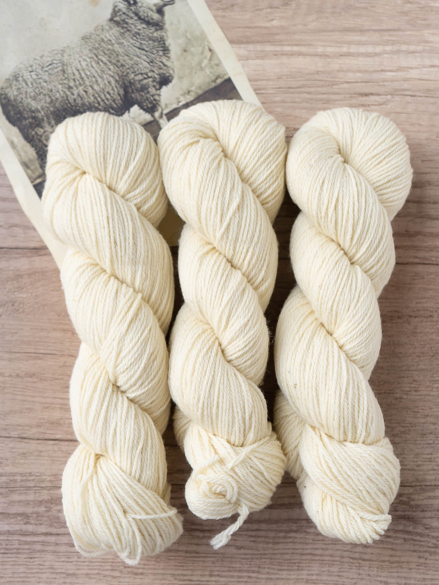 Polypay Worsted