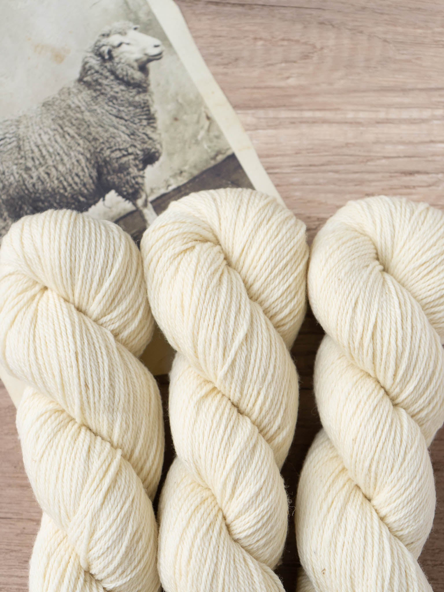 Polypay Worsted